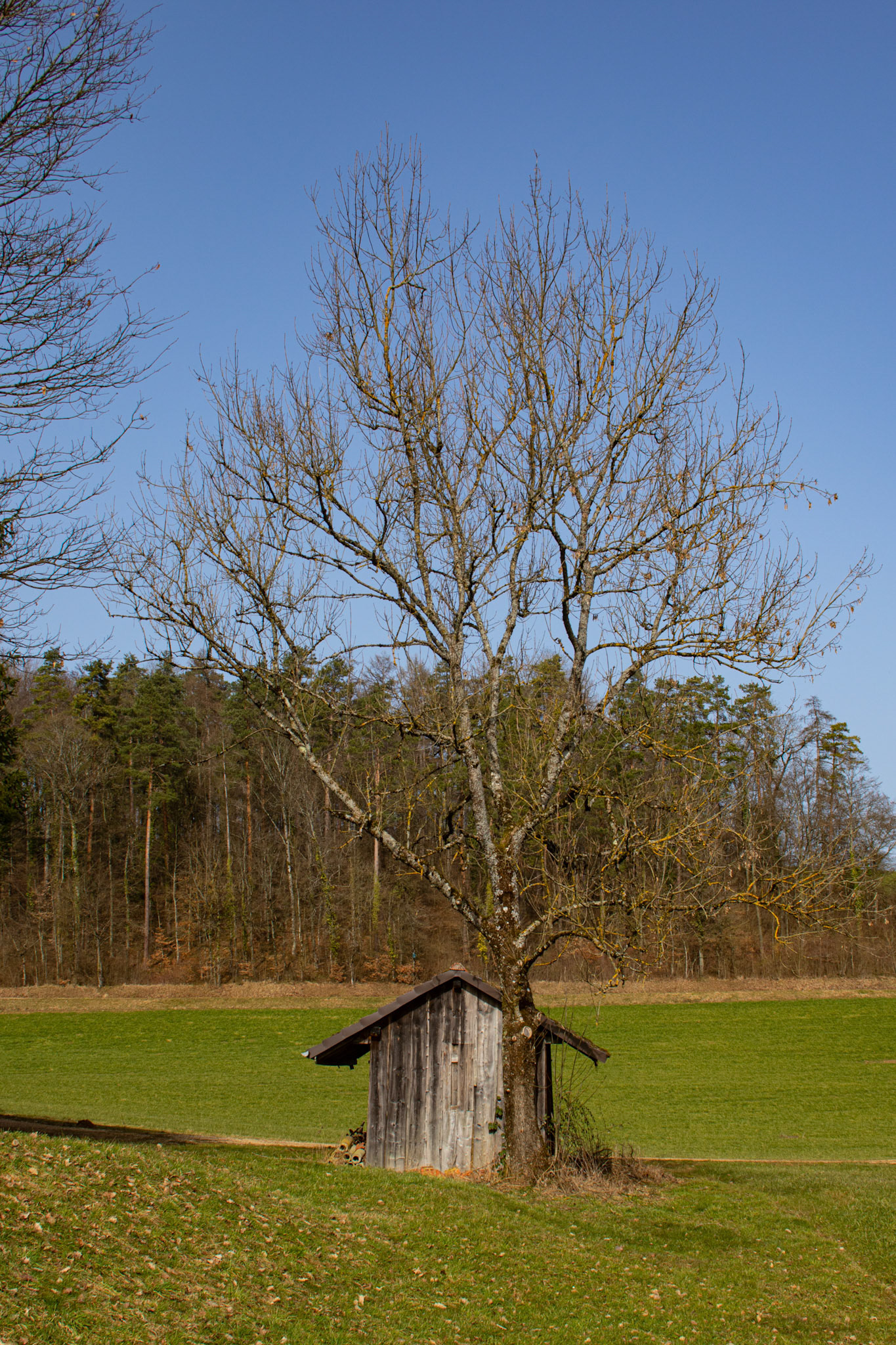 Ritzlete-Schuppen