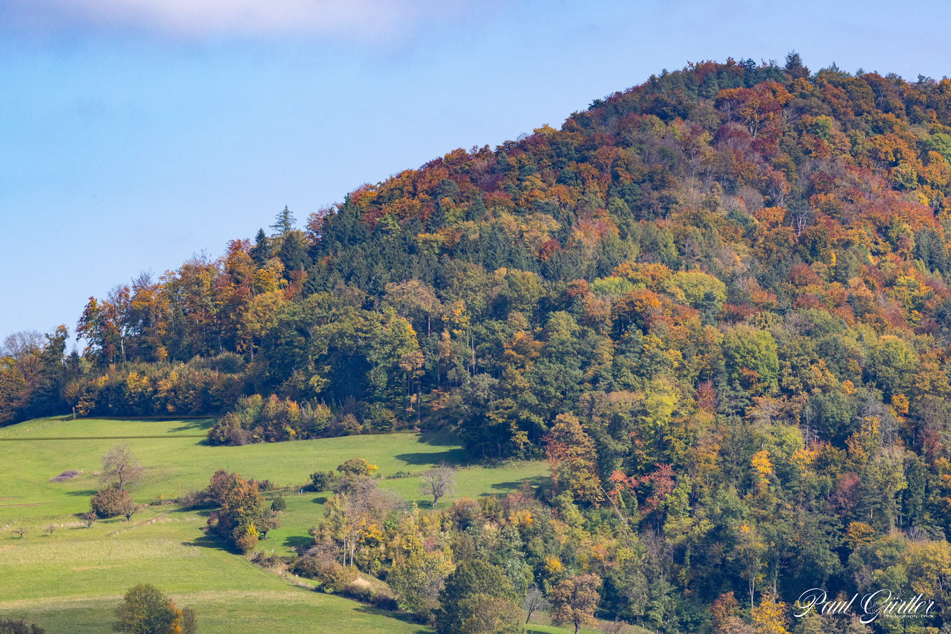 Frickberg im Herbst