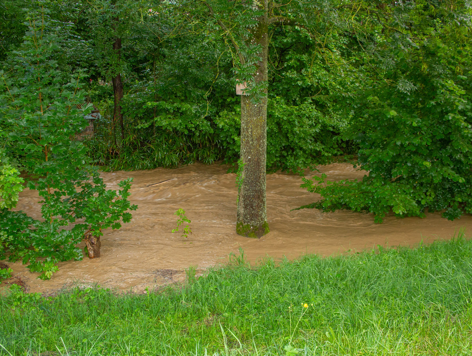 Hochwasser Bruggbach