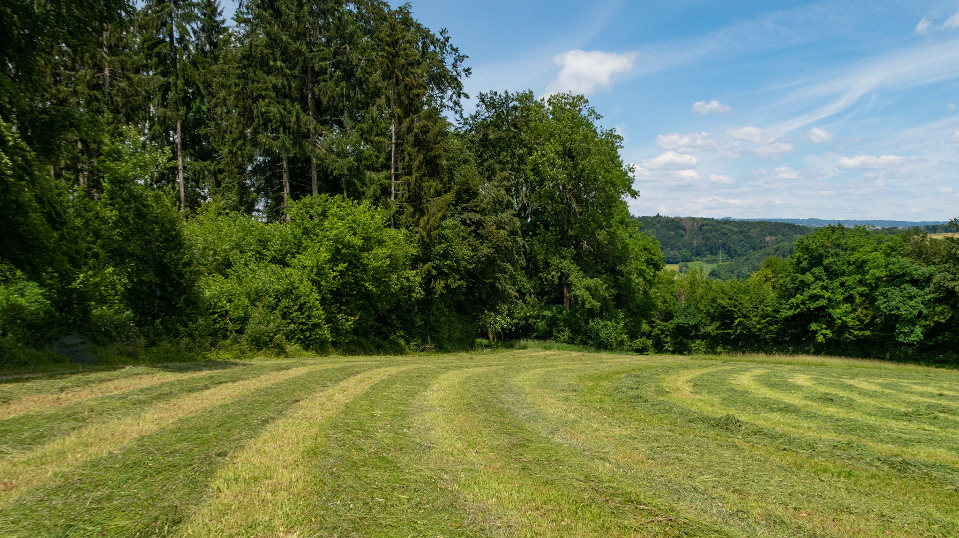 Leischberg