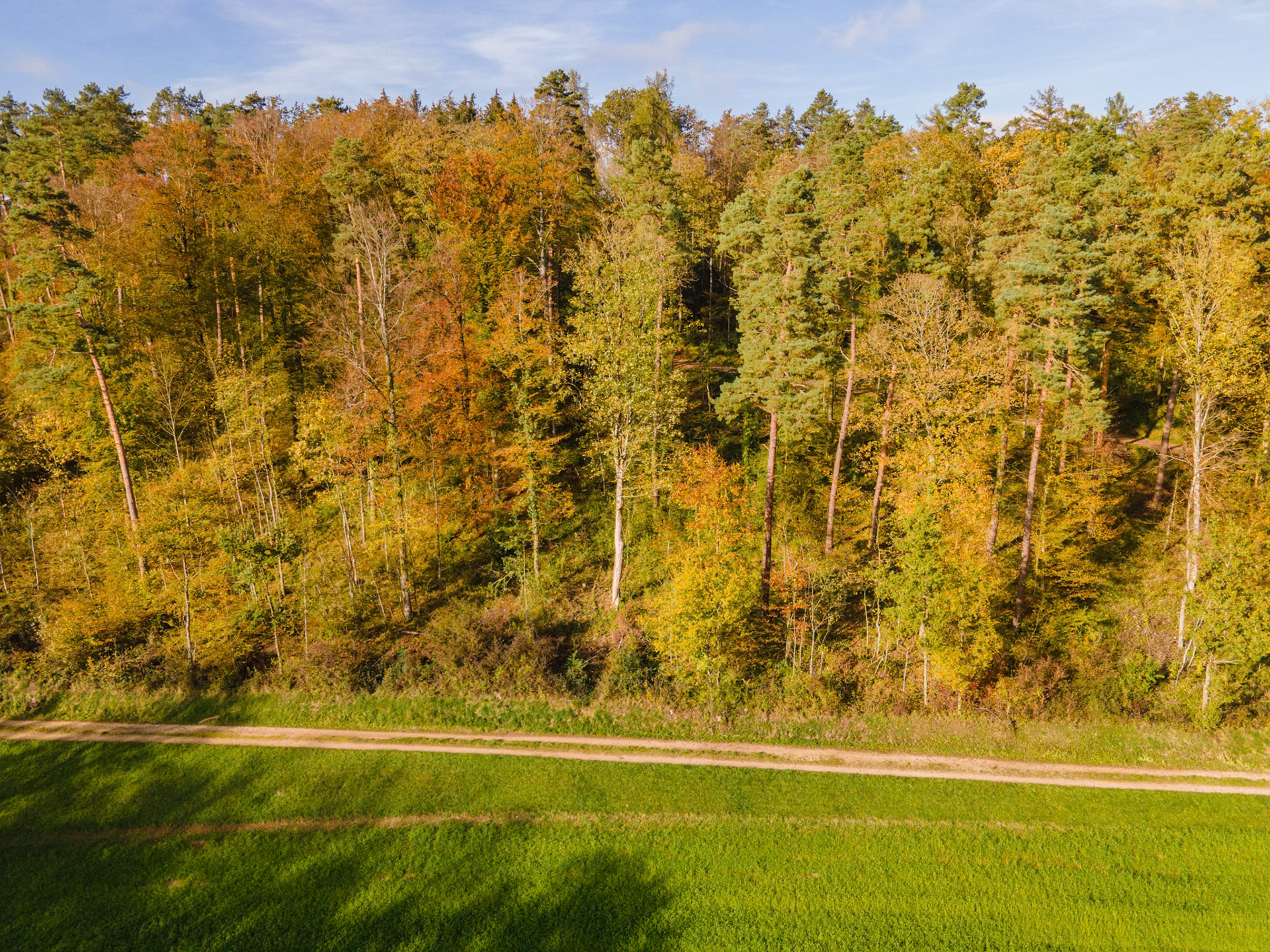Herbstbilder mit der Drohne