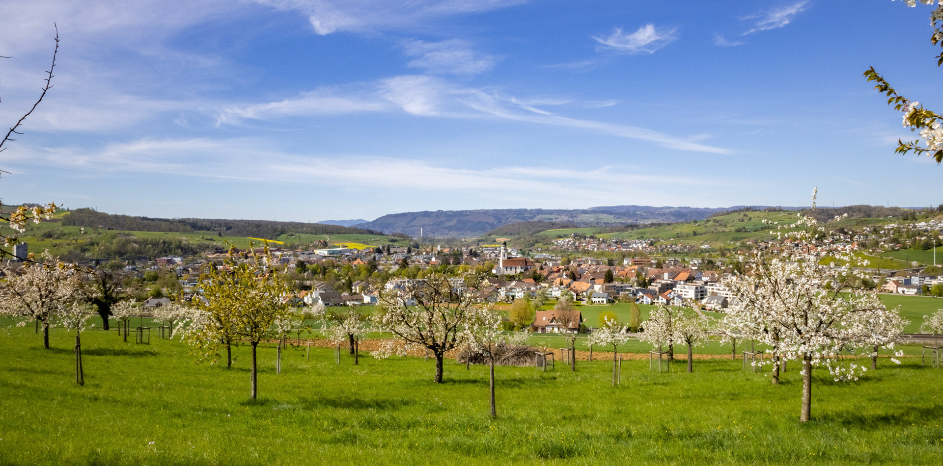 Panorama Chriesibluescht