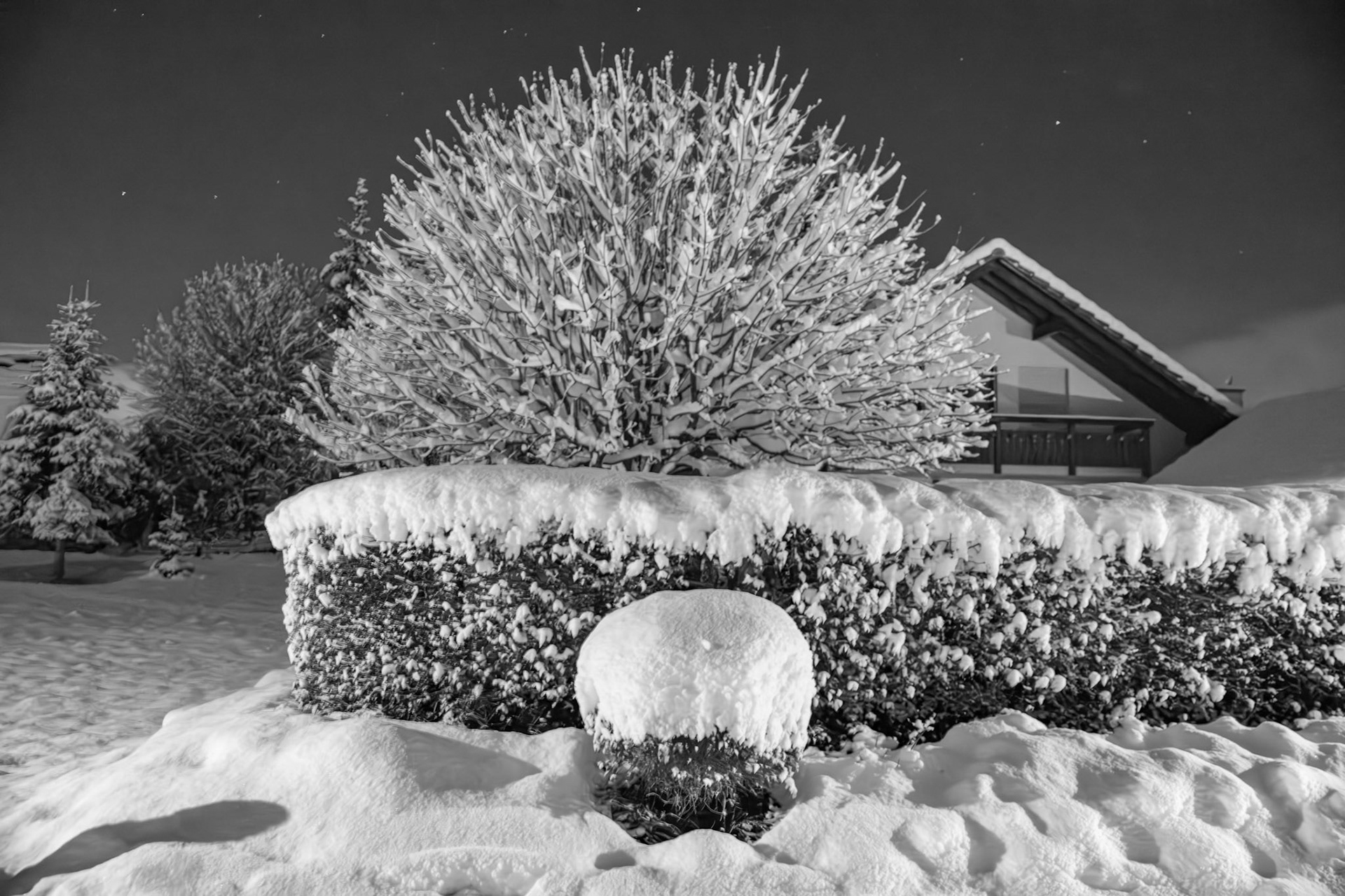 Wintertraum