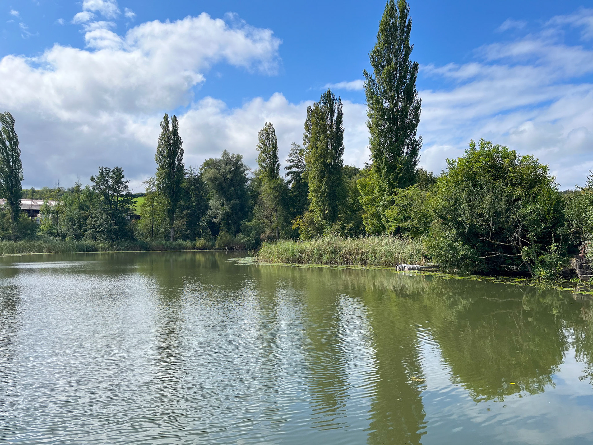 Ziegeleiweiher