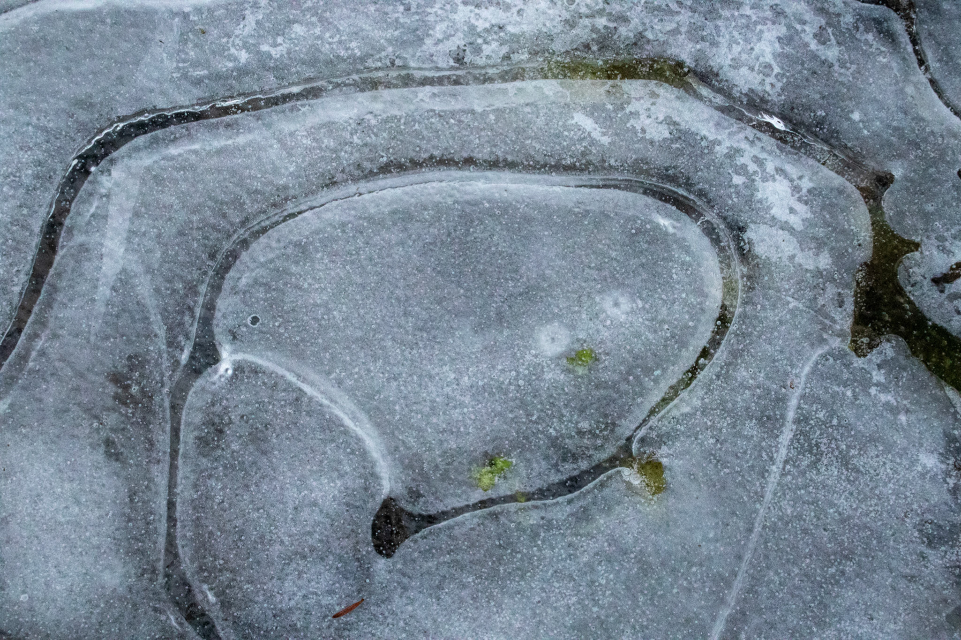 Gefrorene Pfütze