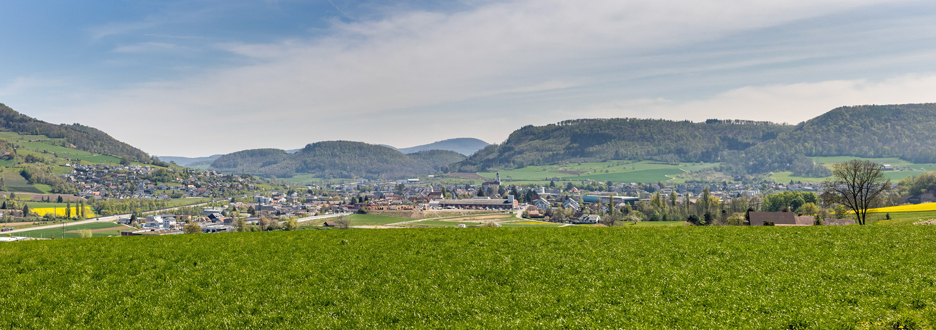 Panorama vom Leischberg