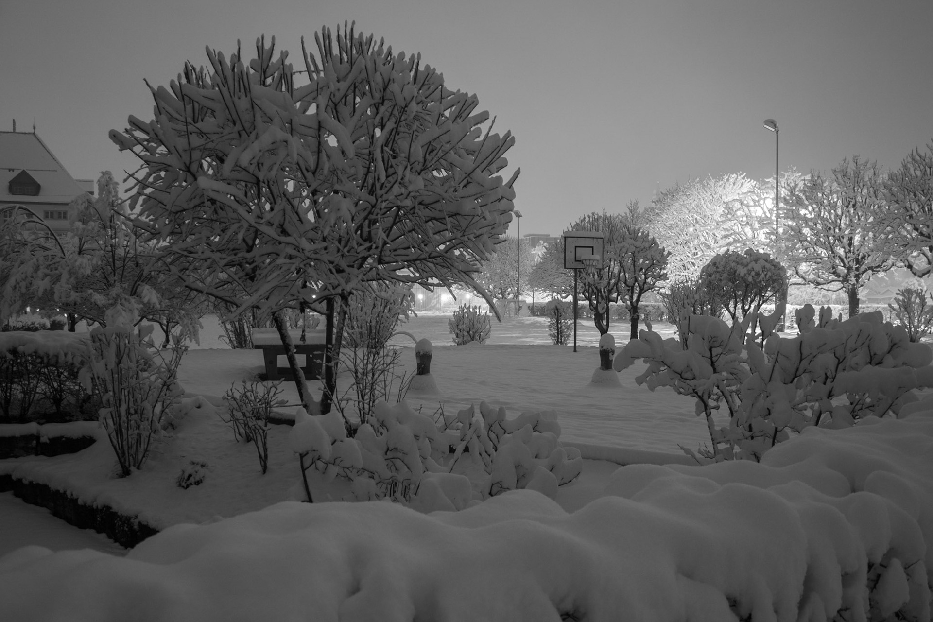 Winterzauber in der Nacht
