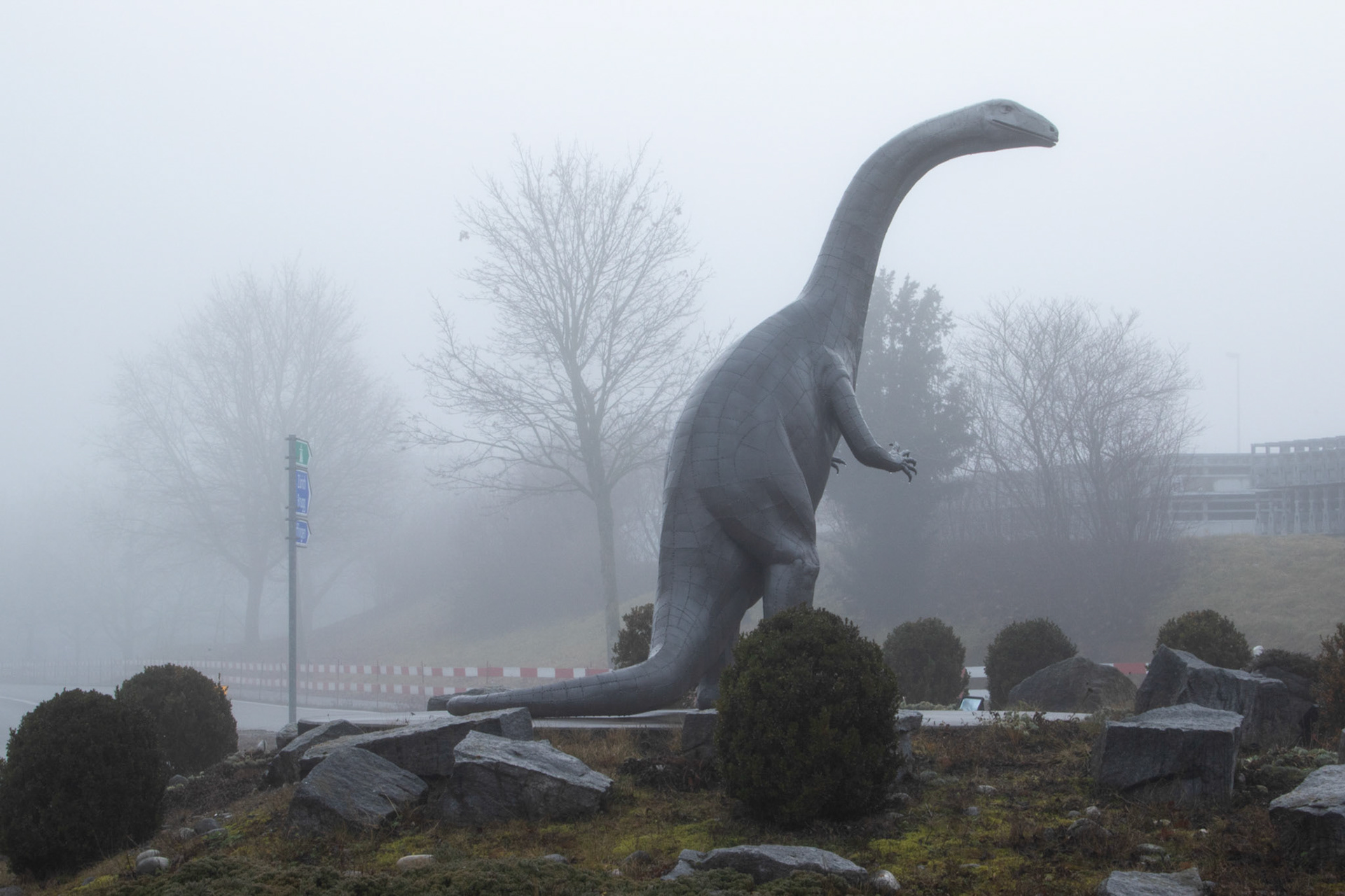 Dino-Kreisel