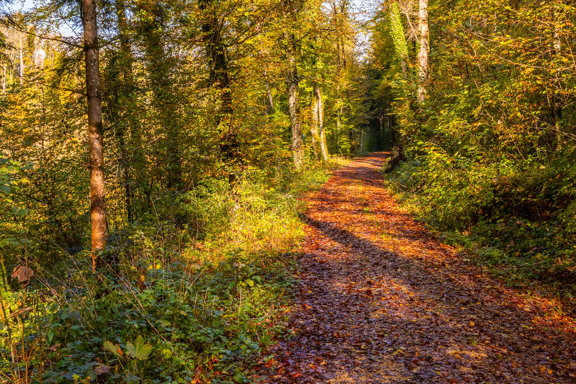 Herbststimmung