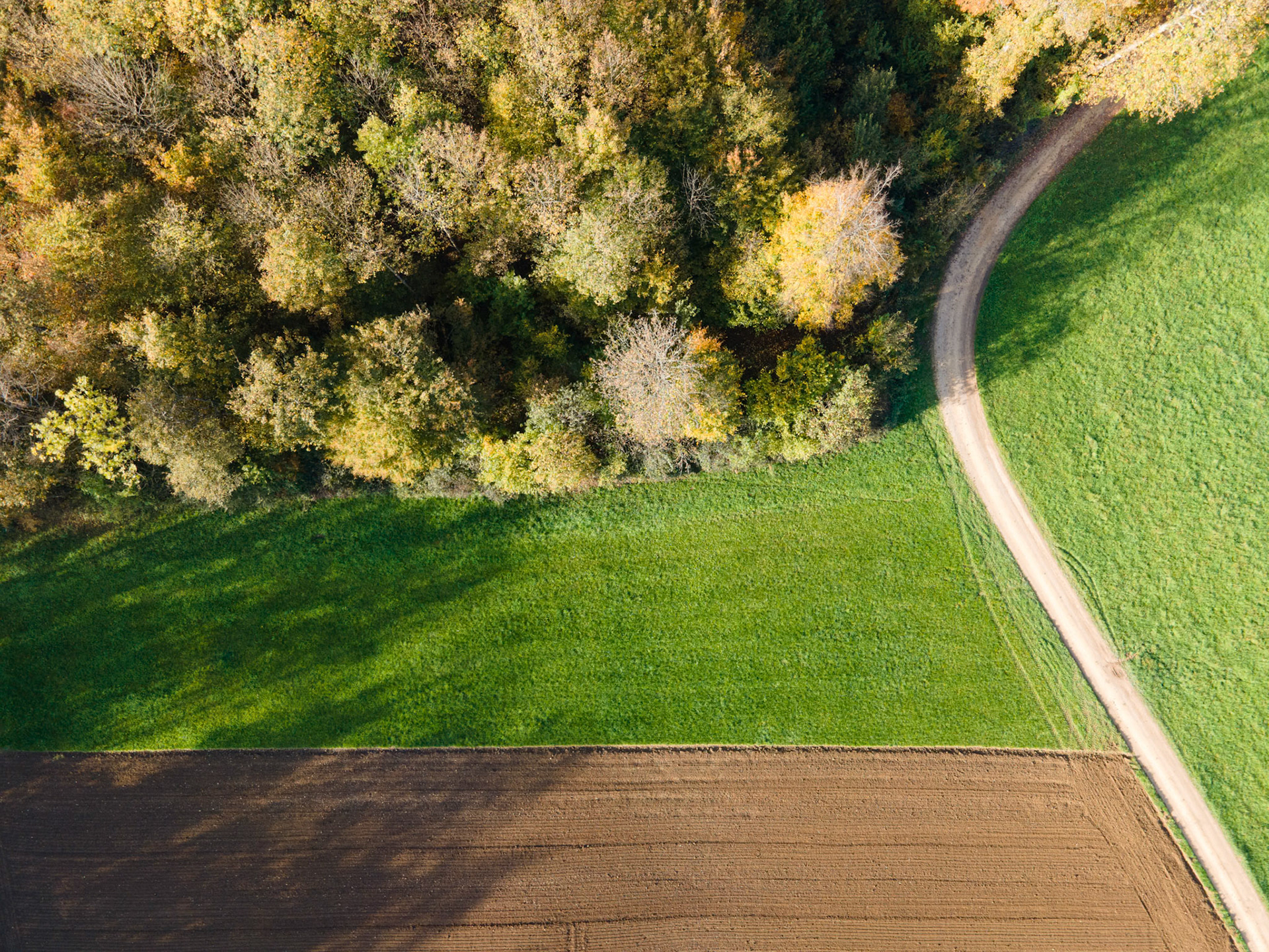 Herbstbilder mit der Drohne