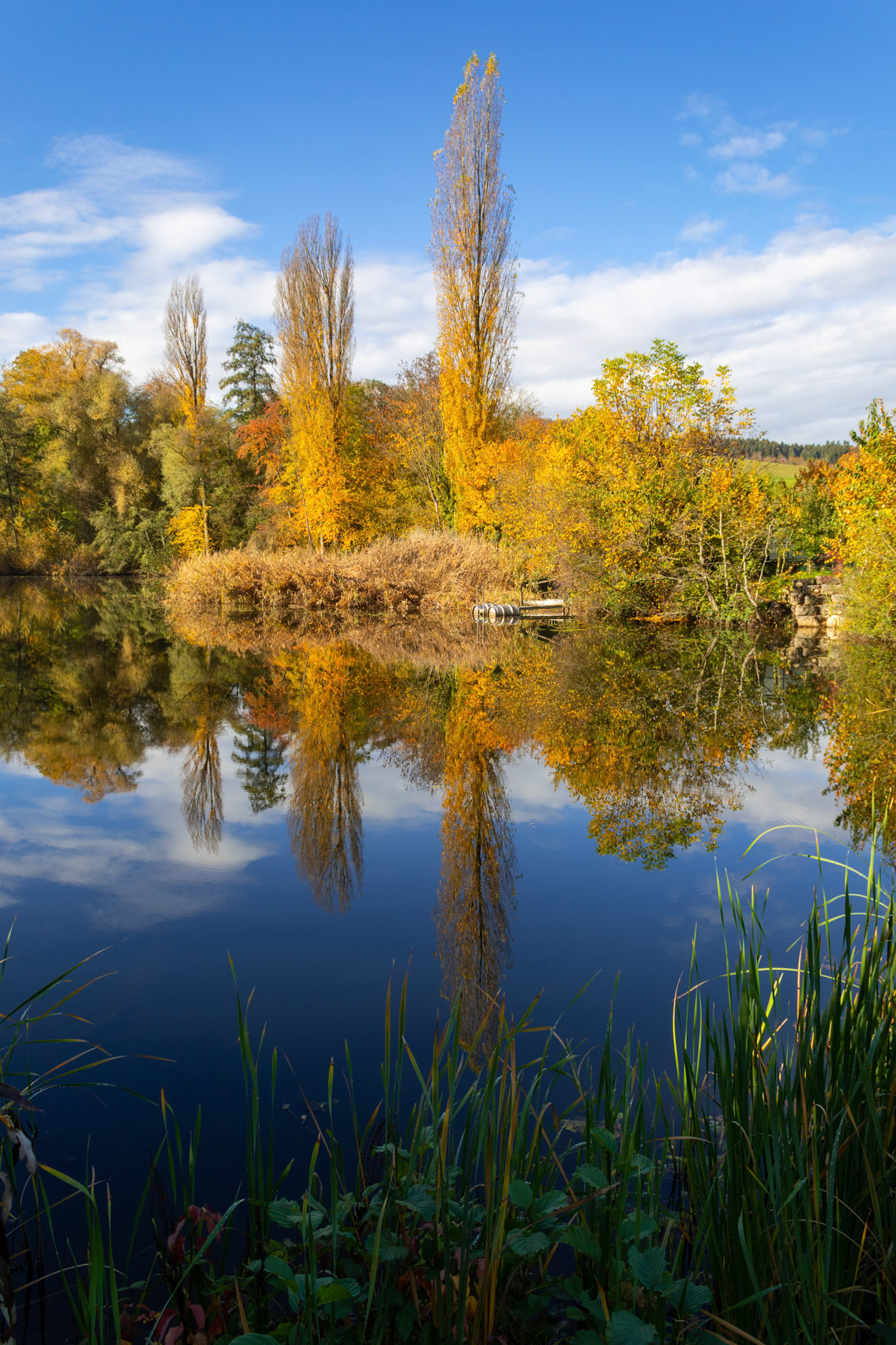 Herbststimmung