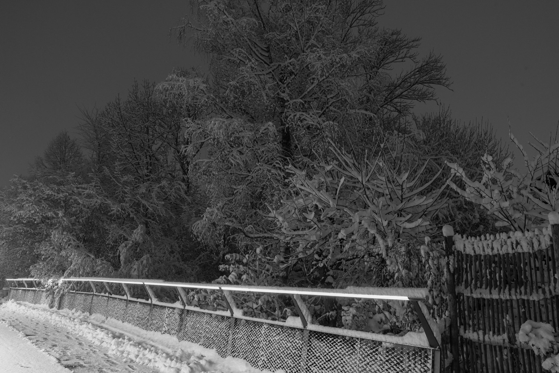 Neuschnee in der Nacht
