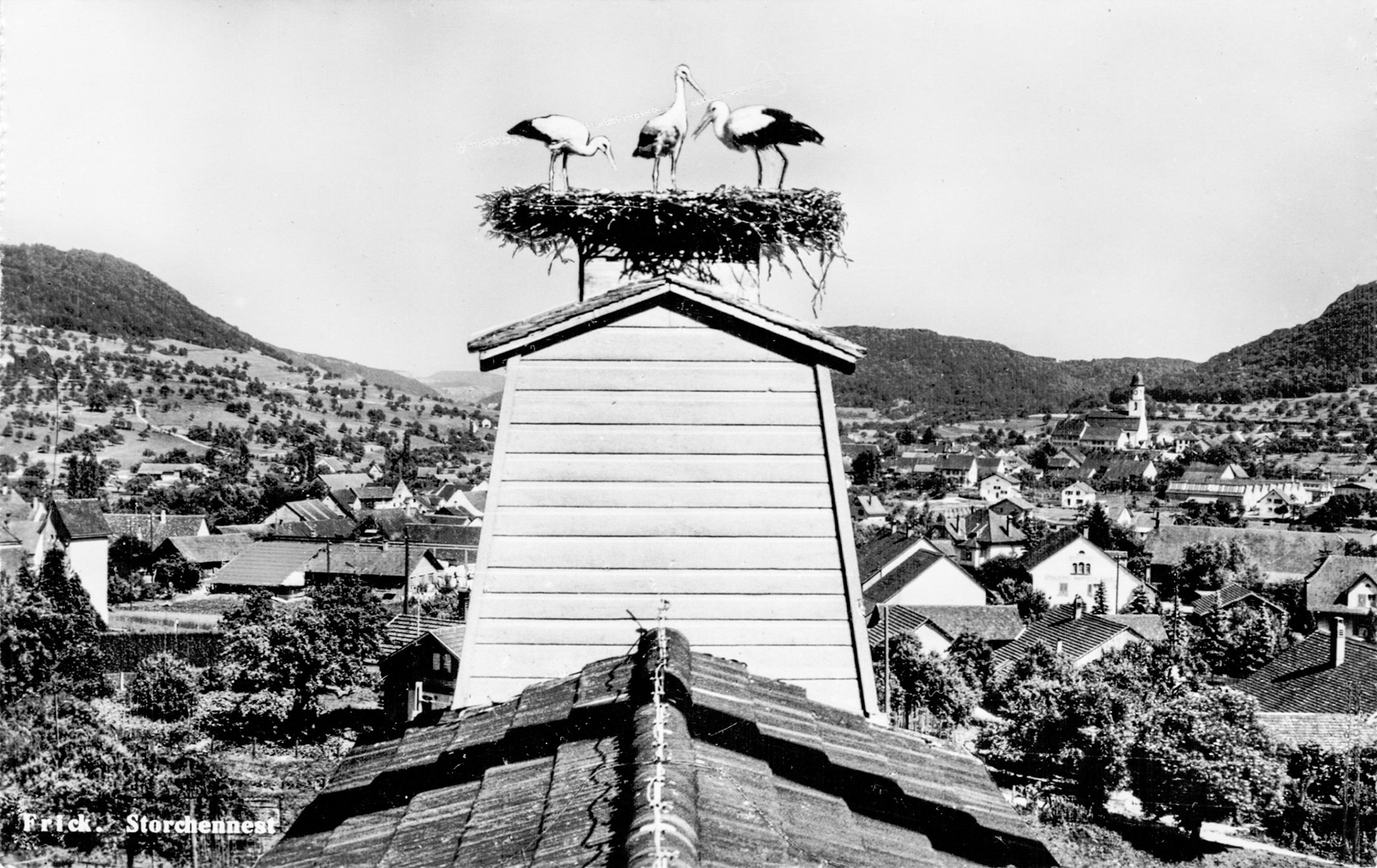 1951 Storchennest Ziegelei