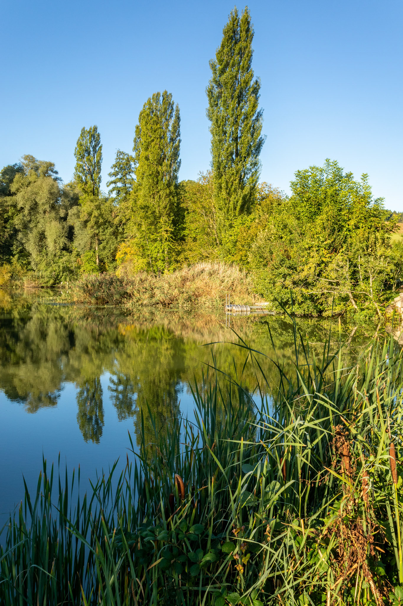 Ziegeleiweiher