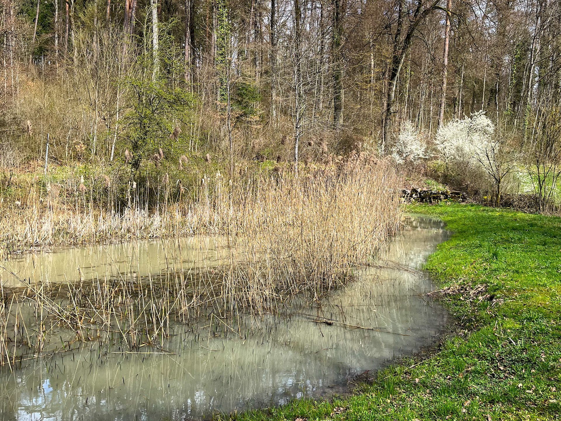 Ritzleteweiher