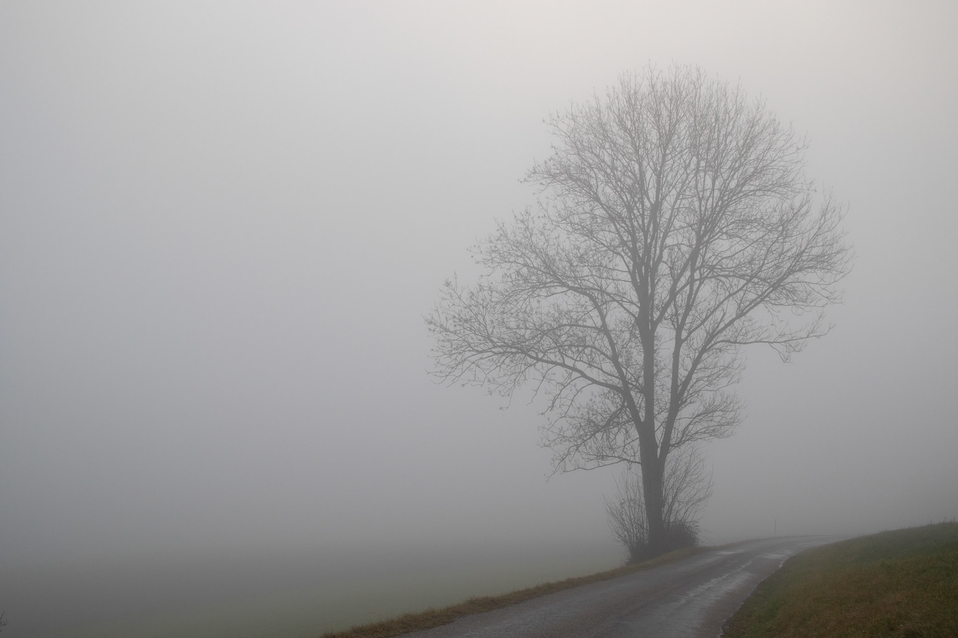 Morgens um 7 ist die Welt in Ordnung