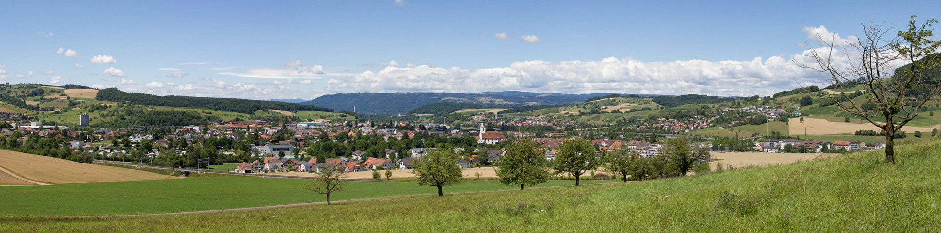 Sommerpanorama vom Chüngsweg