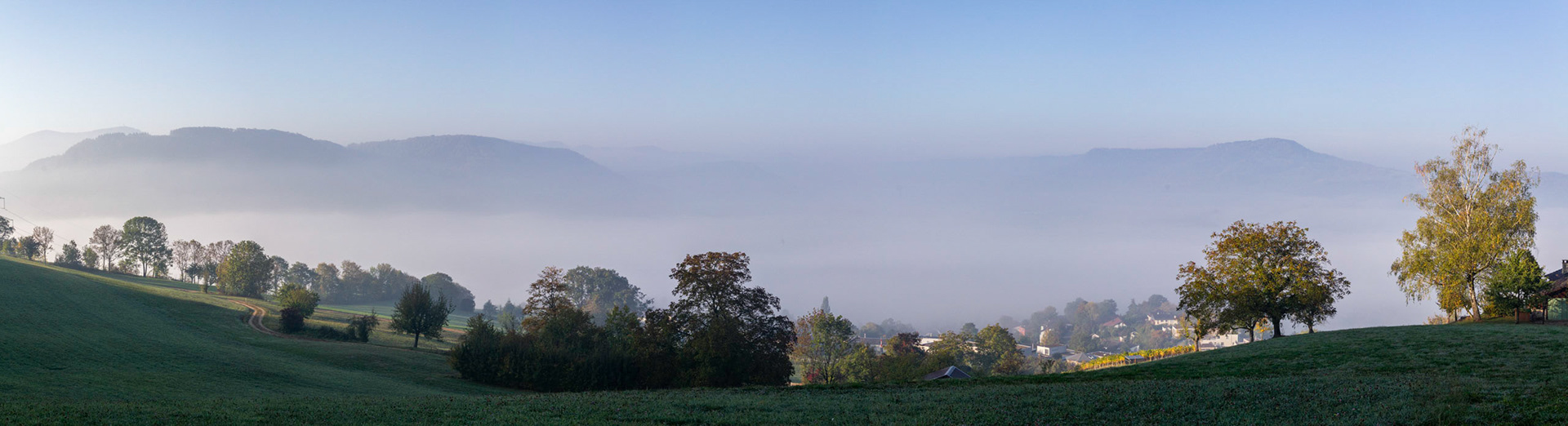 der Nebel lichtet sich