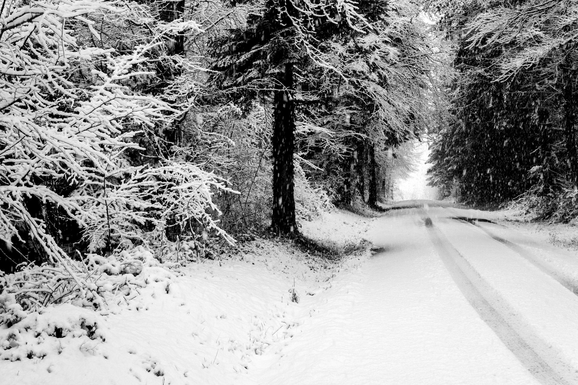 verschneiter Waldweg