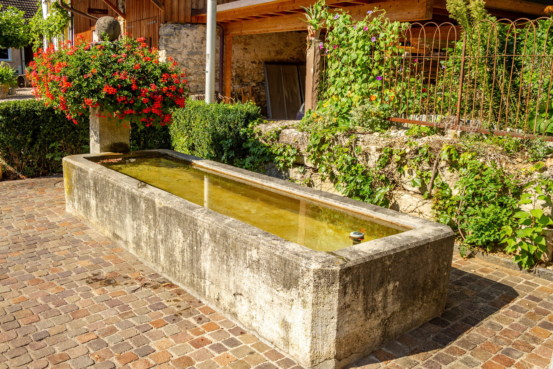 Dorfbrunnen Hinterdorf