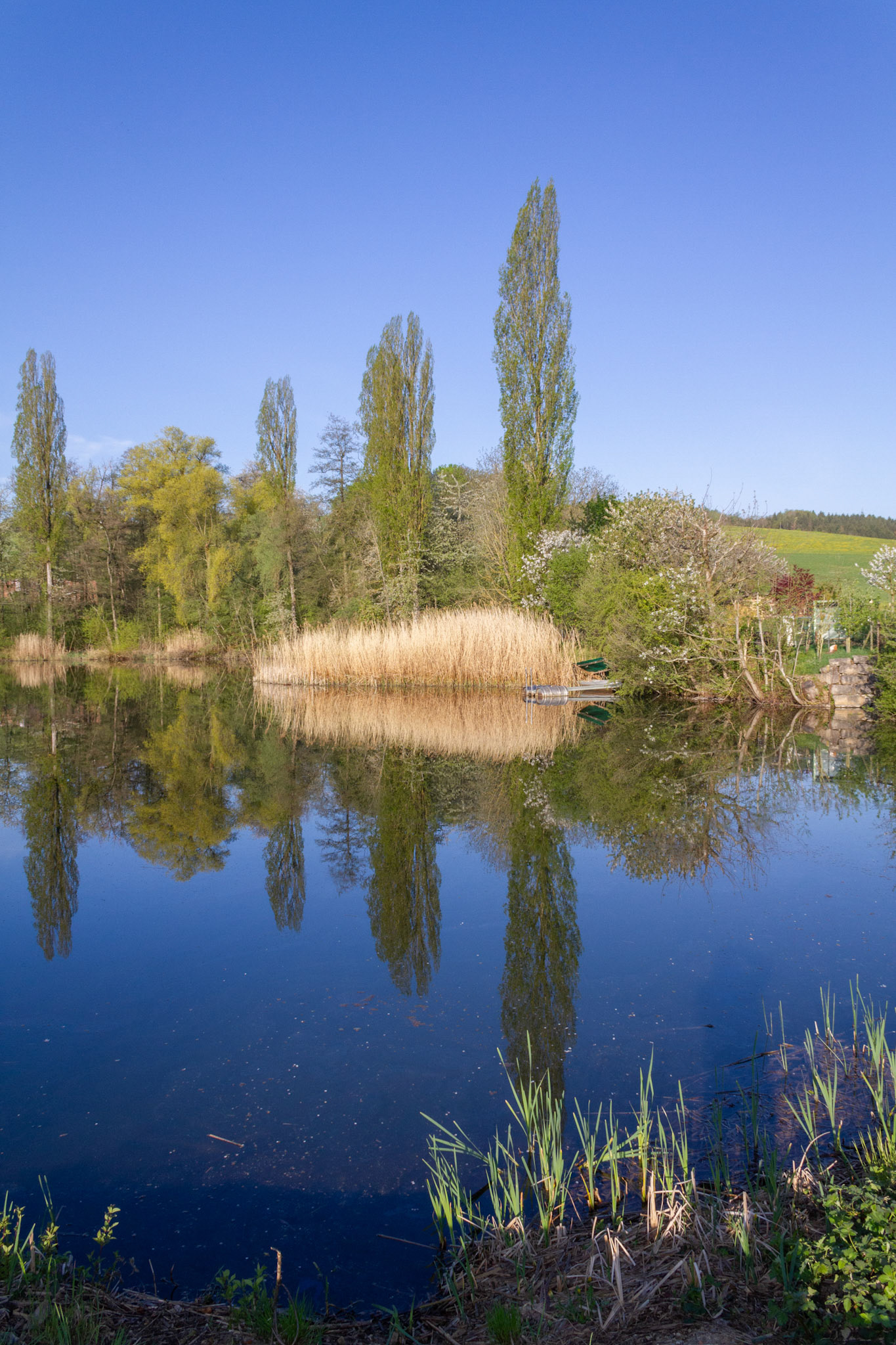 Ziegeleiweiher