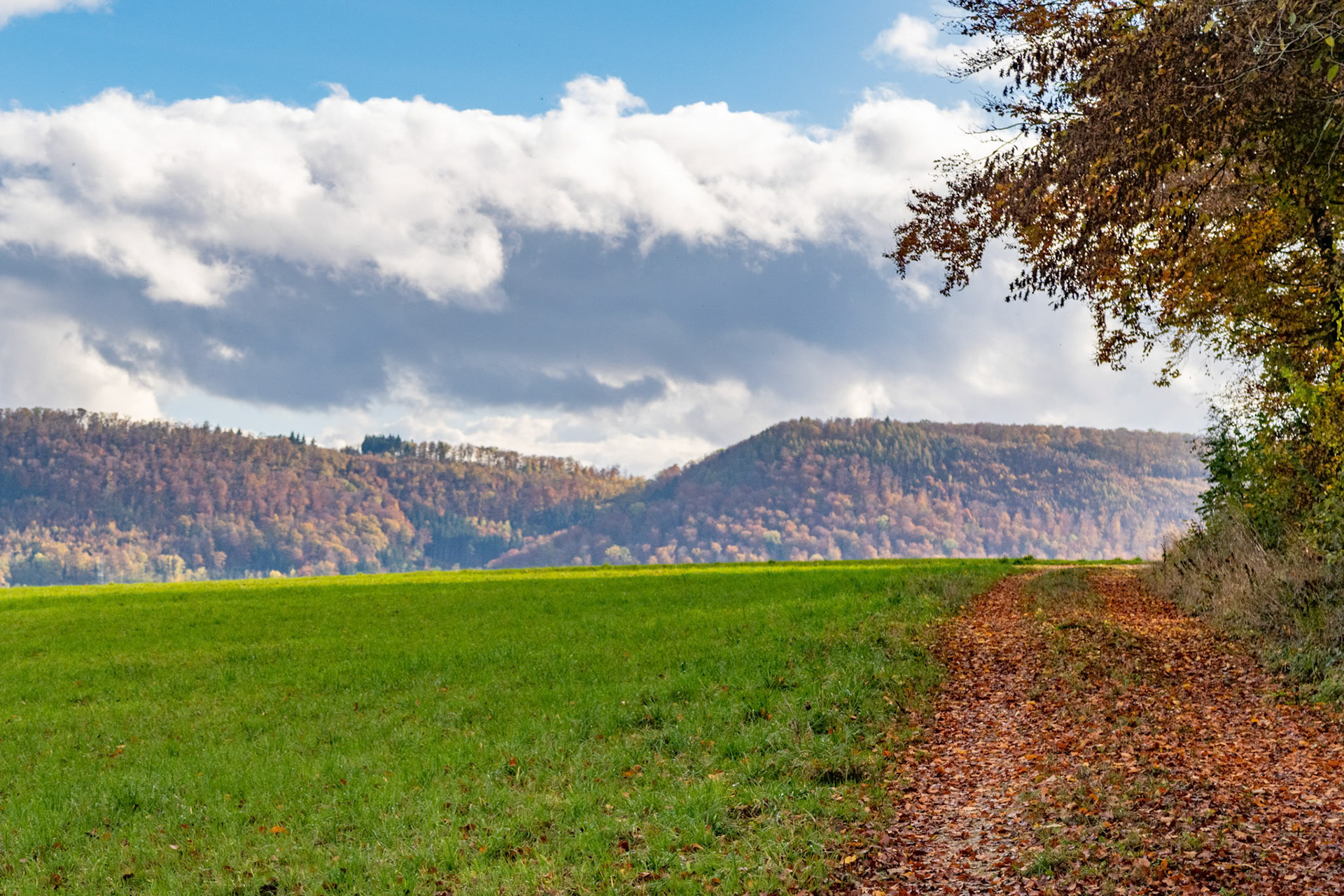 Herbststimmung am Leischberg