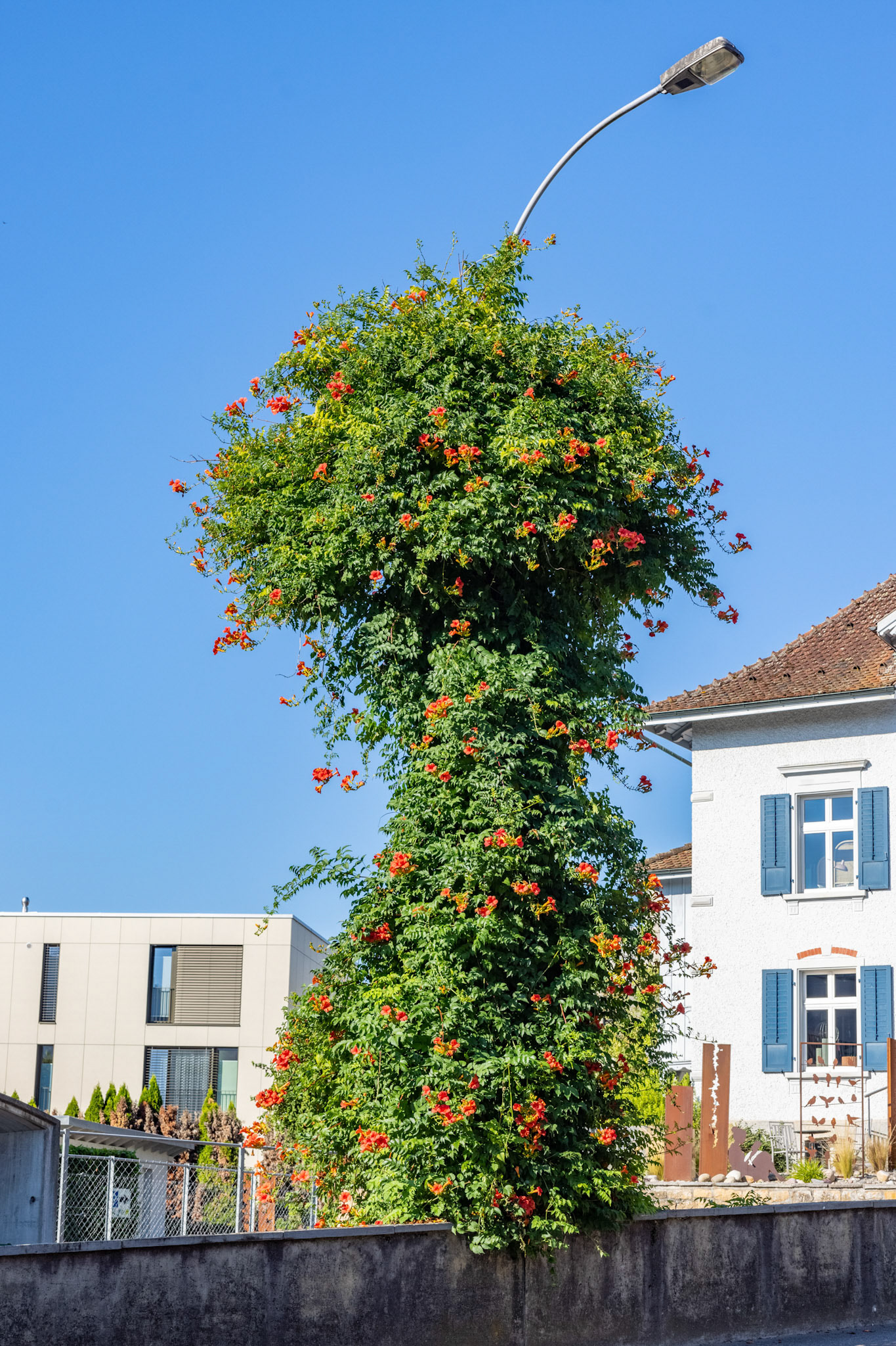 Strassenbeleuchtung mit Blumen