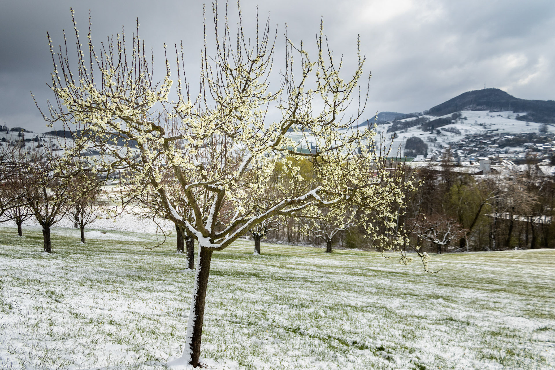 Wintereinbruch