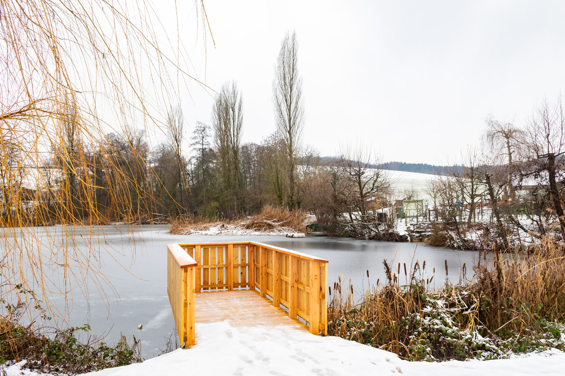 Ziegeleiweiher gefroren