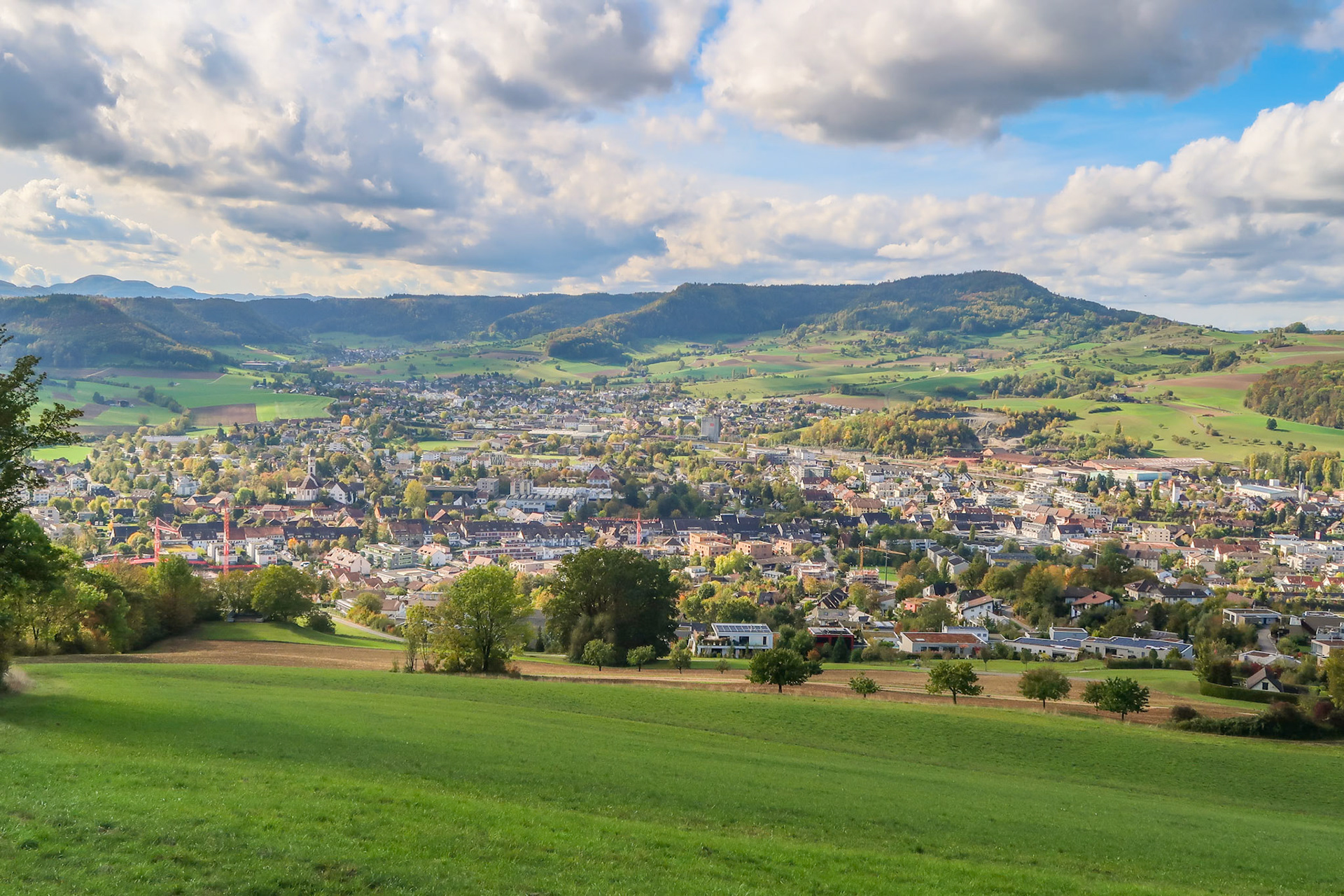 Dorfansicht vom Frickberb