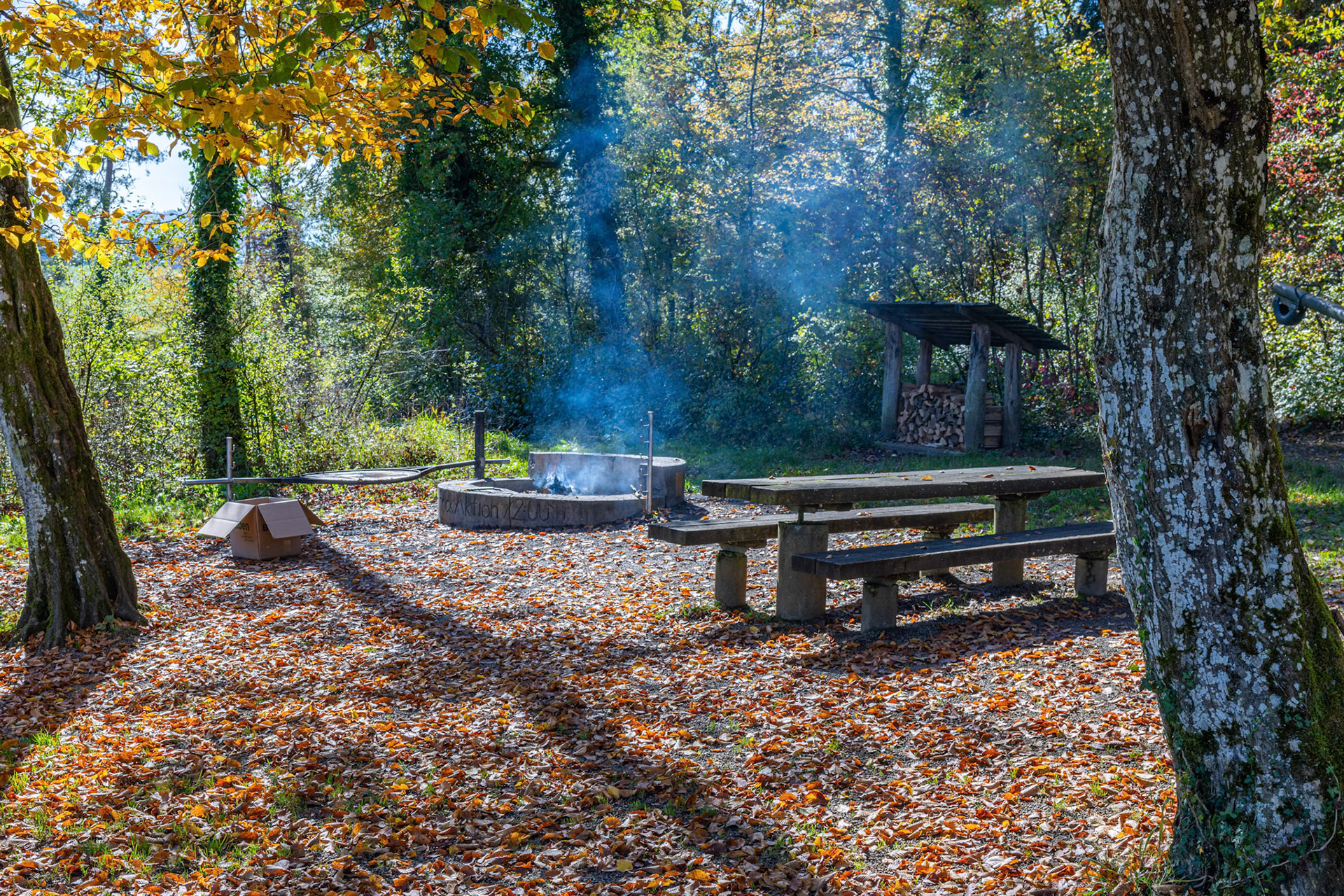 Herbstbilder