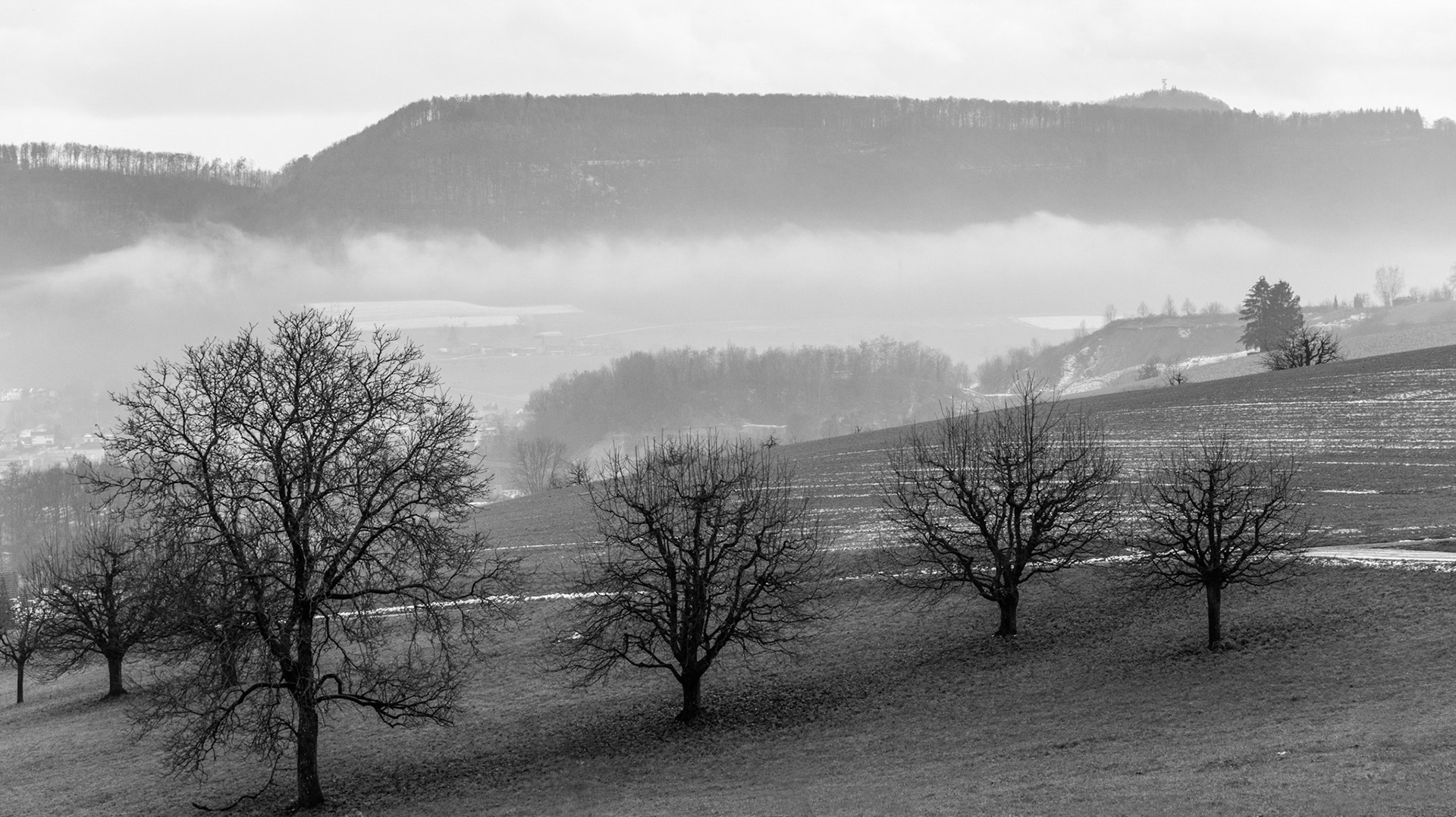 Leischberg