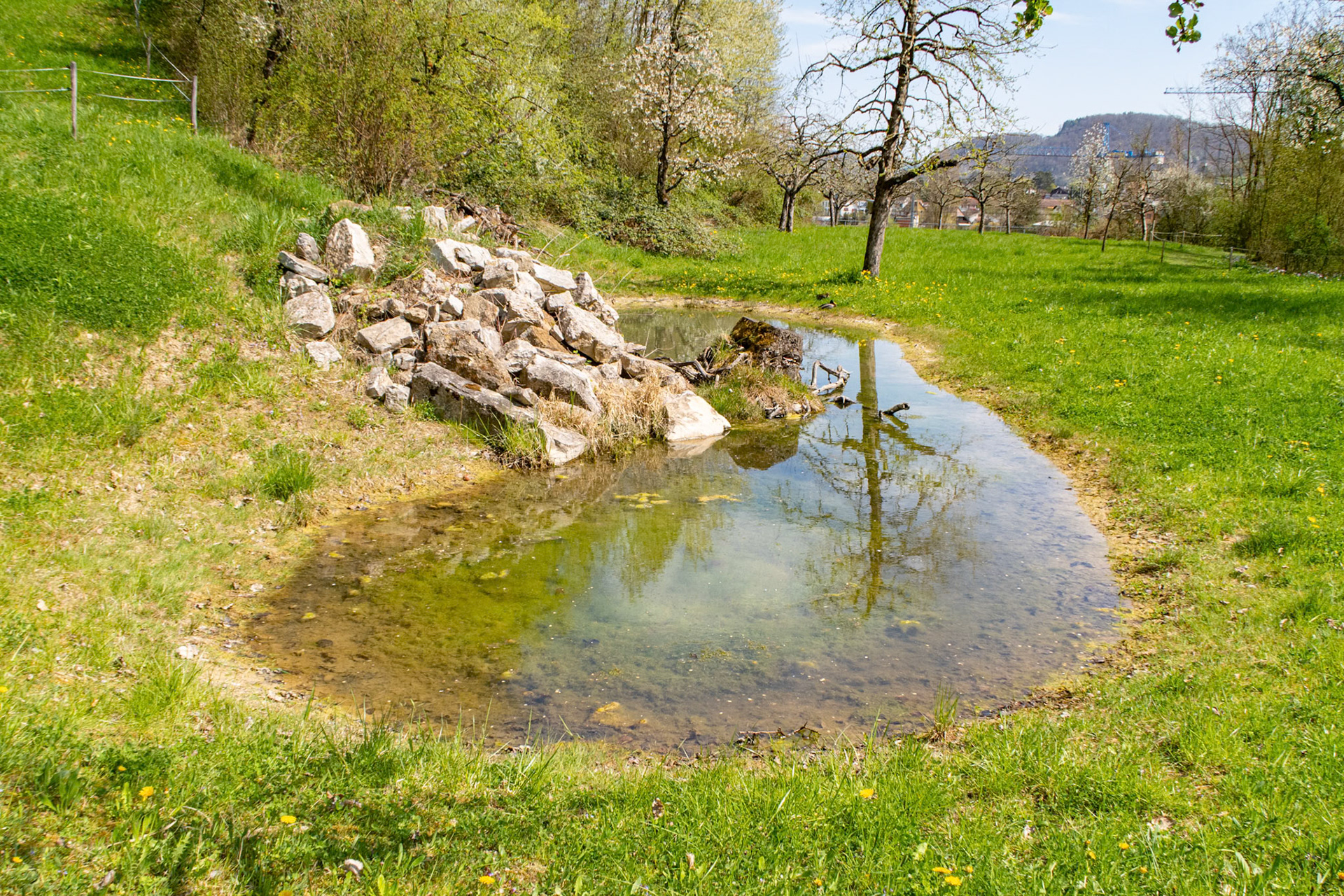 Biotop beim vordere Sulzrai