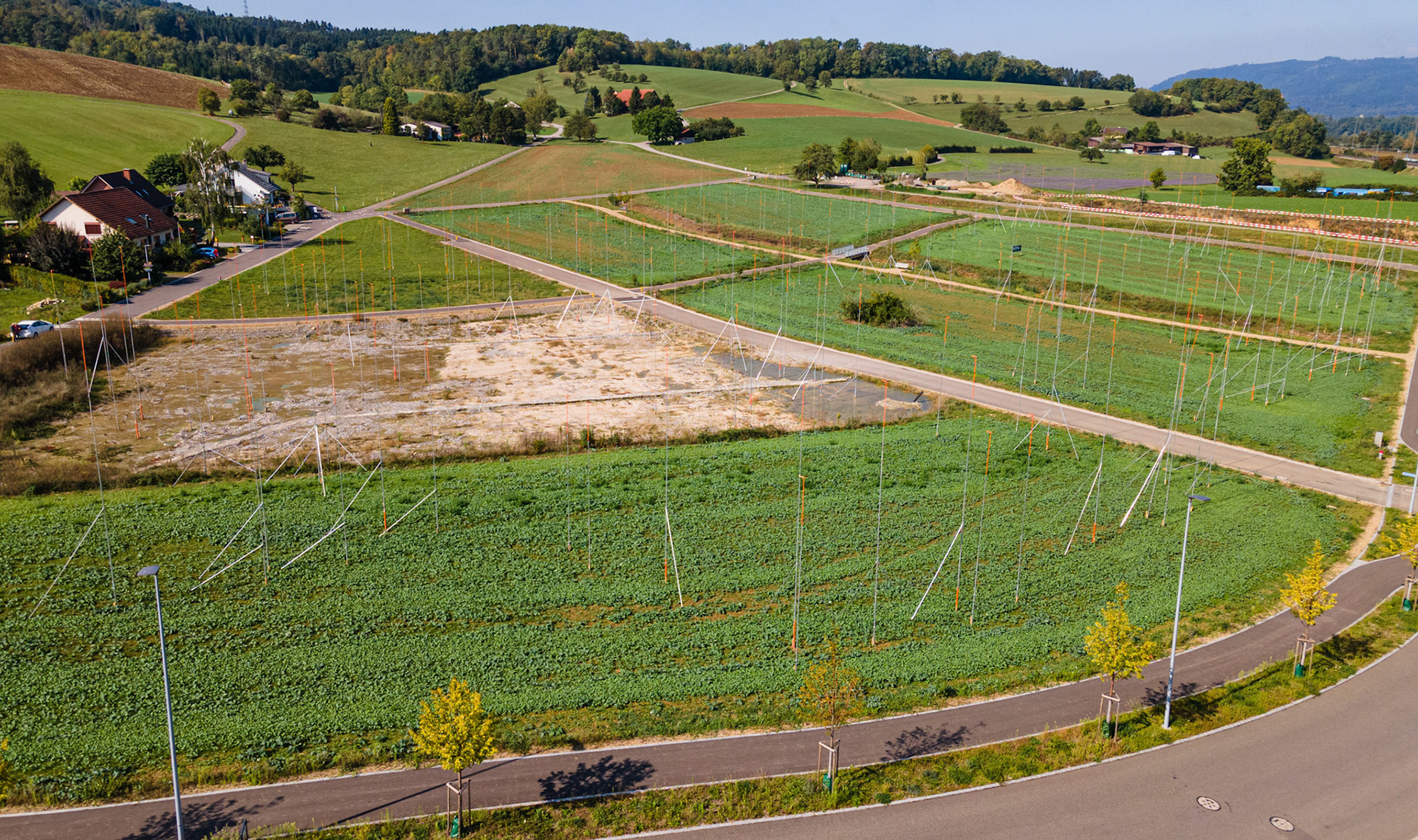 Bauvisiere Lammet
