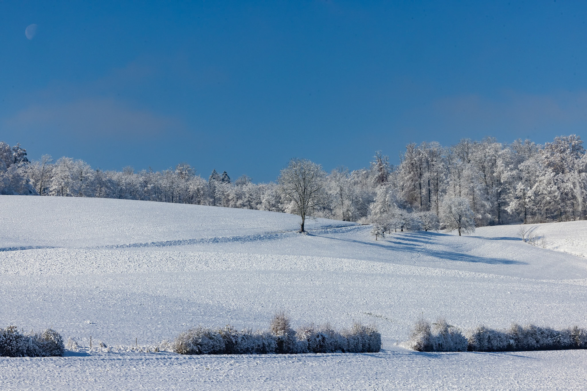 Leischberg im Schnee