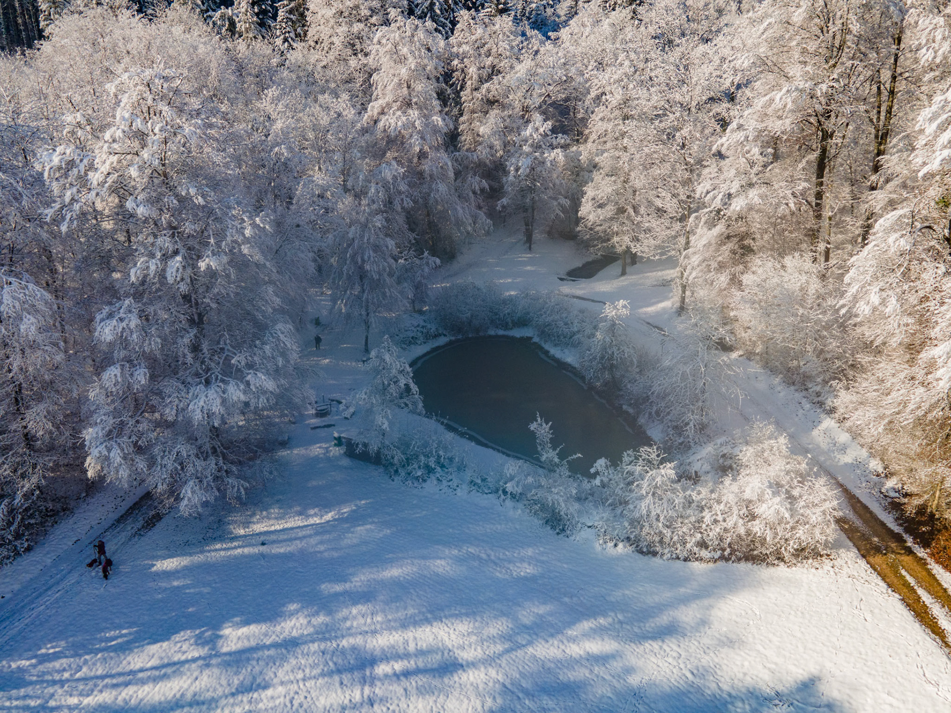 Ritzleteweiher im Winter