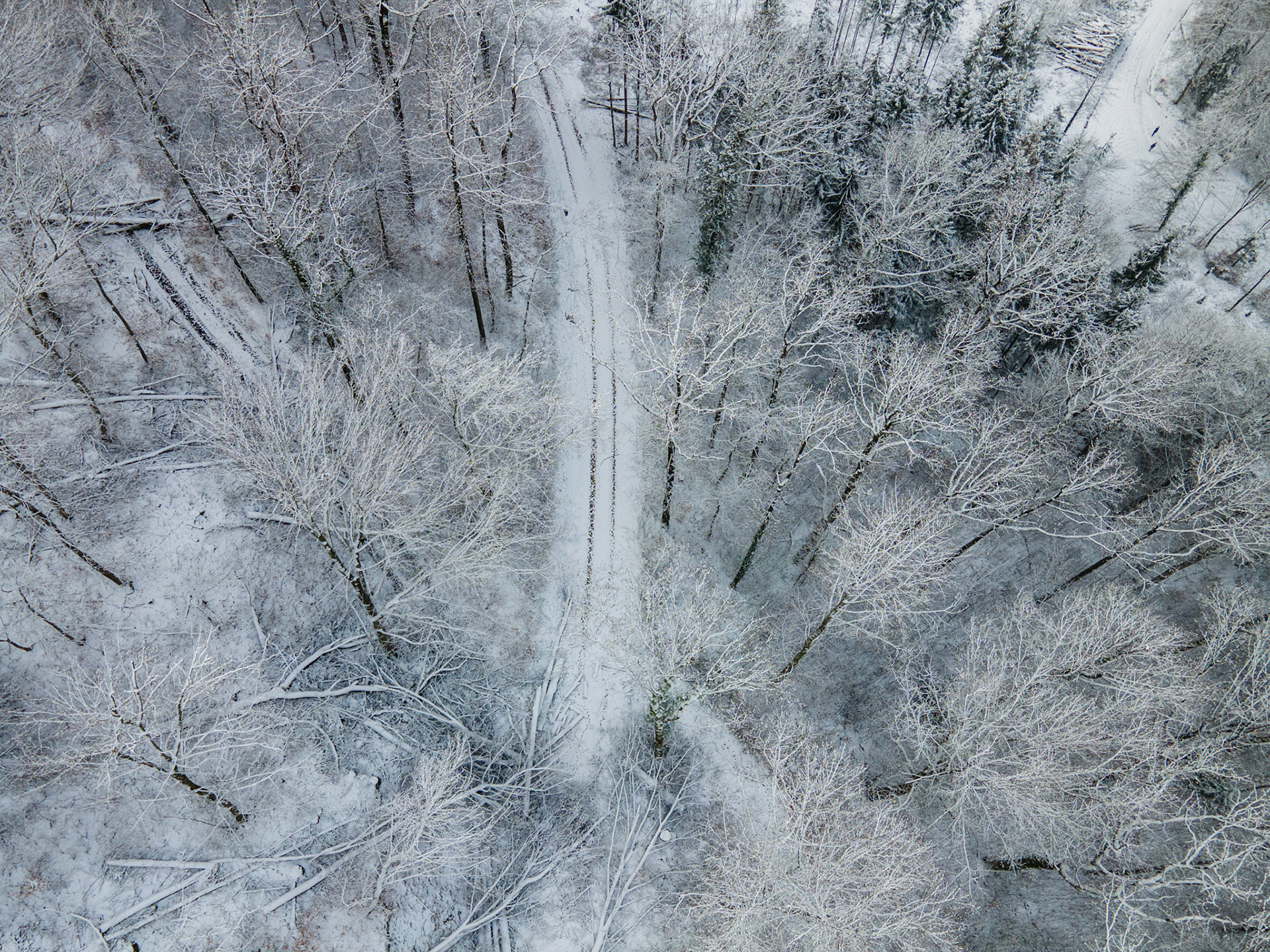 Waldweg im Schnee von oben