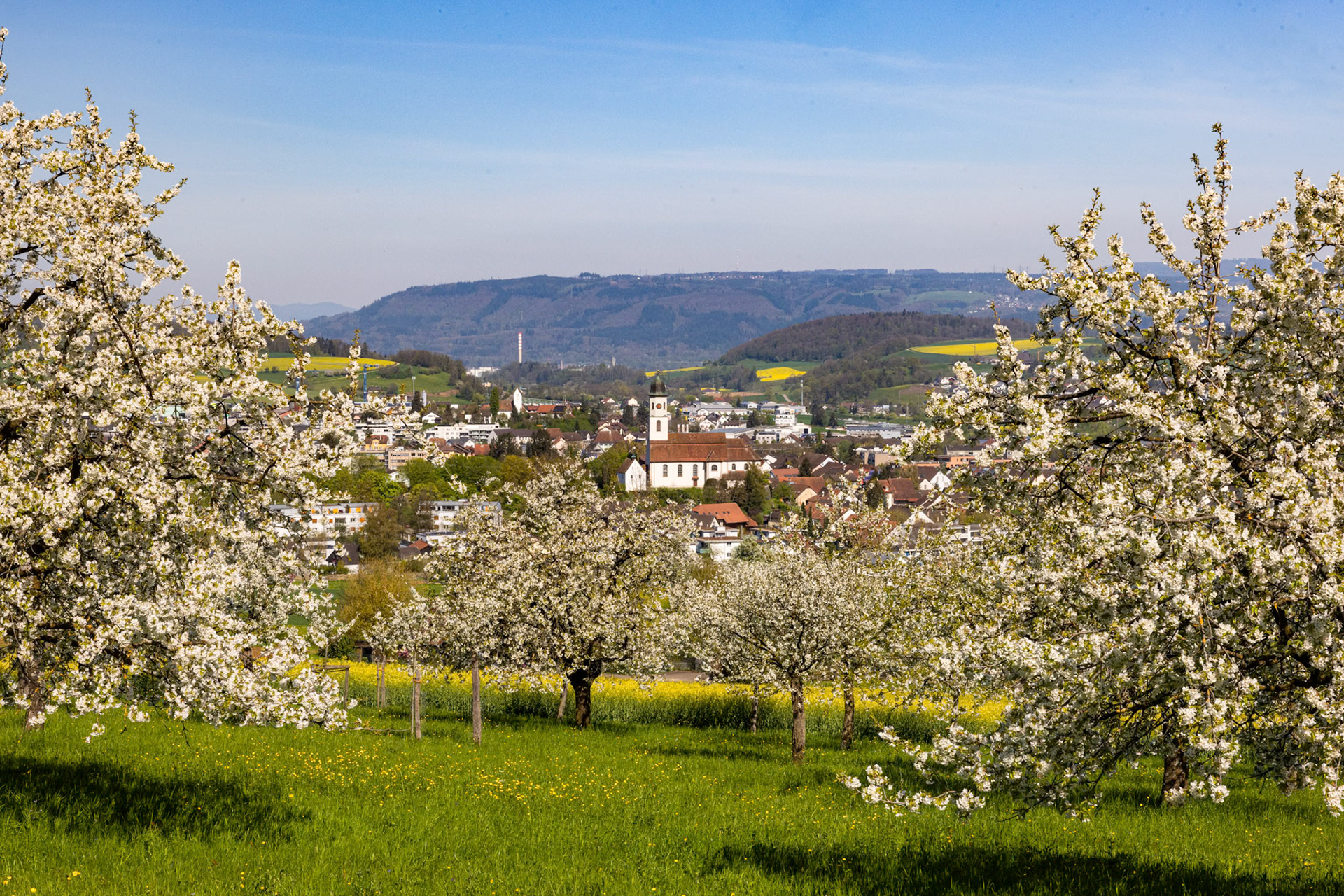 Dorfbild und Chriesibluescht