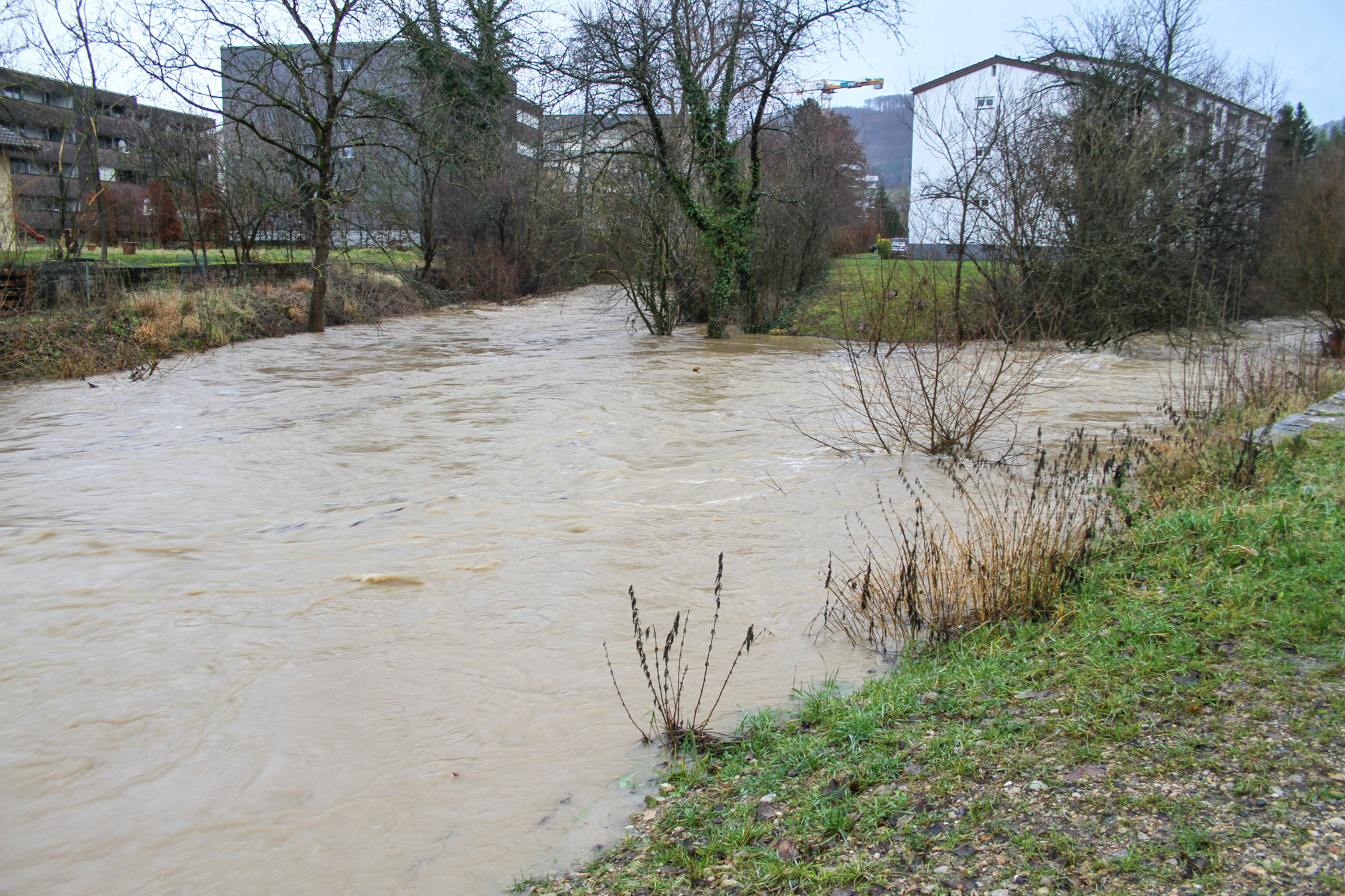 Sisslebach und Bruggbach