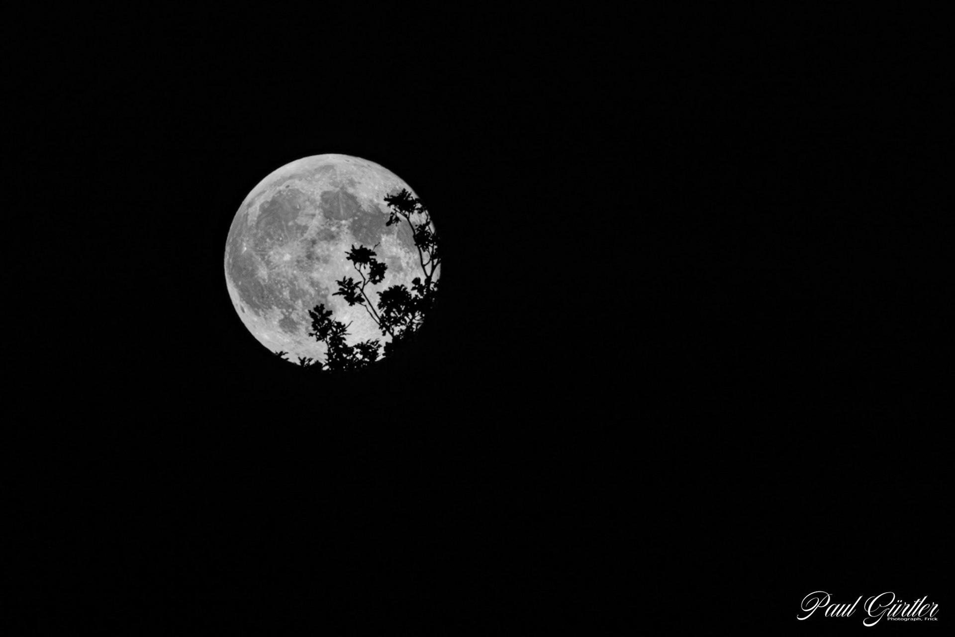 Super-Vollmond über dem Frickberg