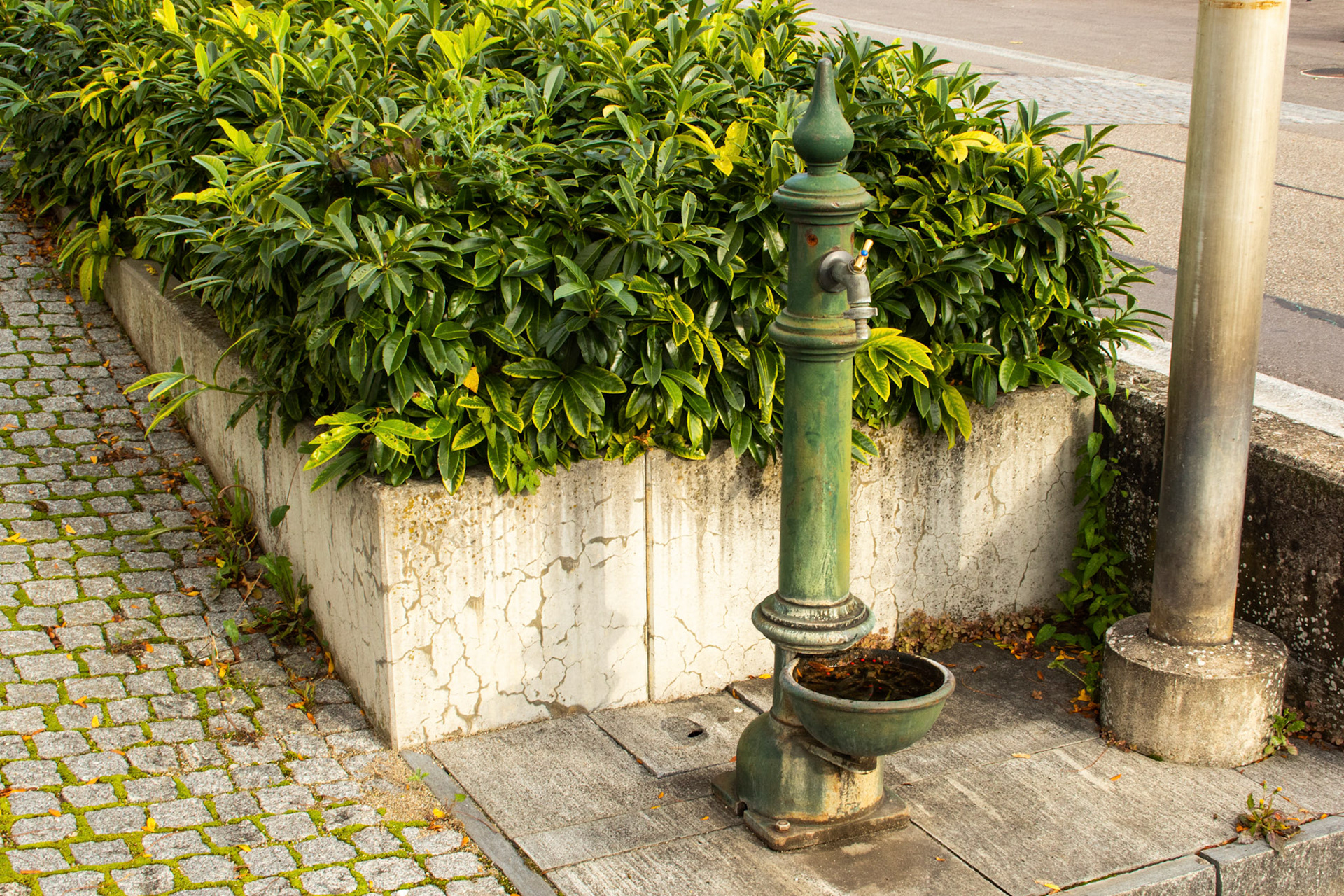 Dorfbrunnen Widenplatz