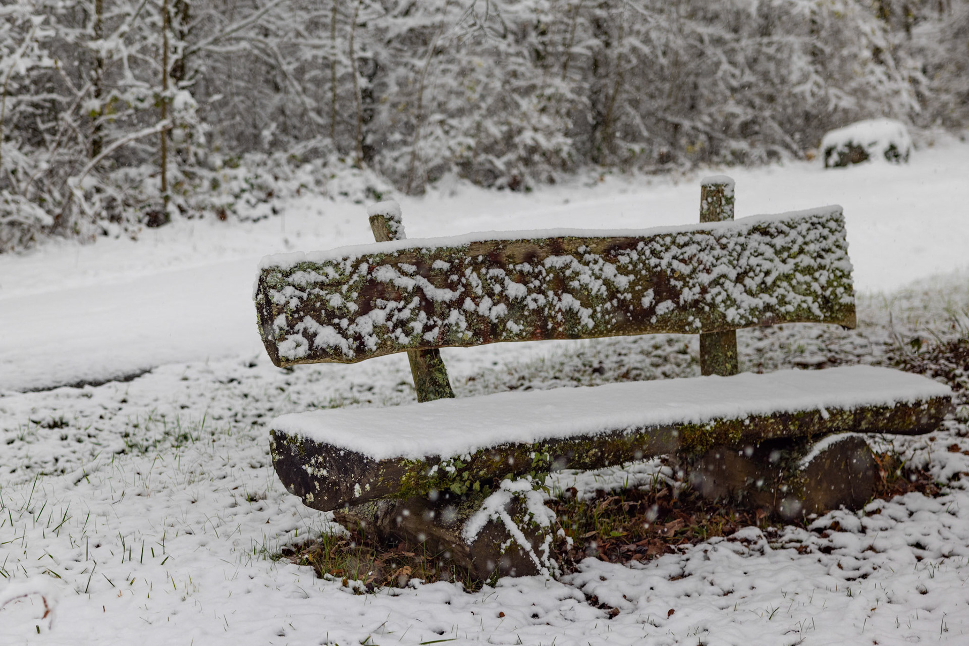 erster Schneefall