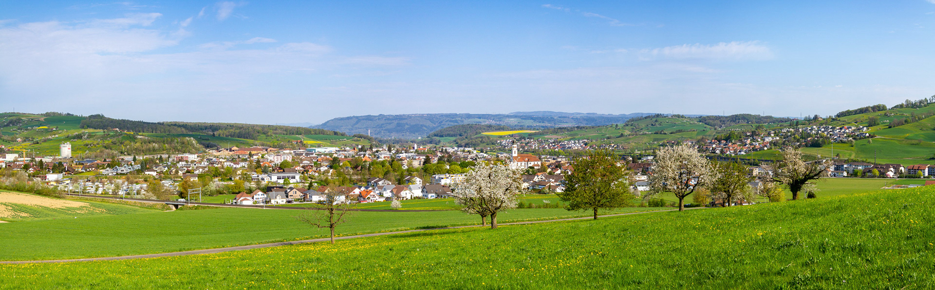 Frühlings Panorama
