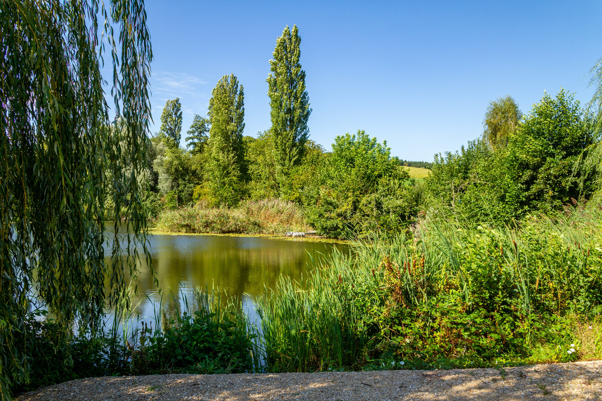 Ziegeleiweiher