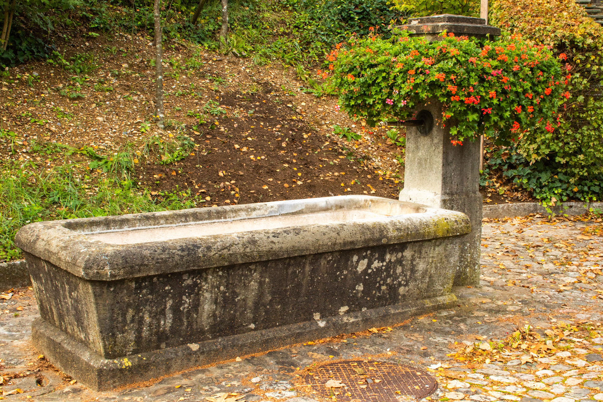 Dorfbrunnen Meck à Frick