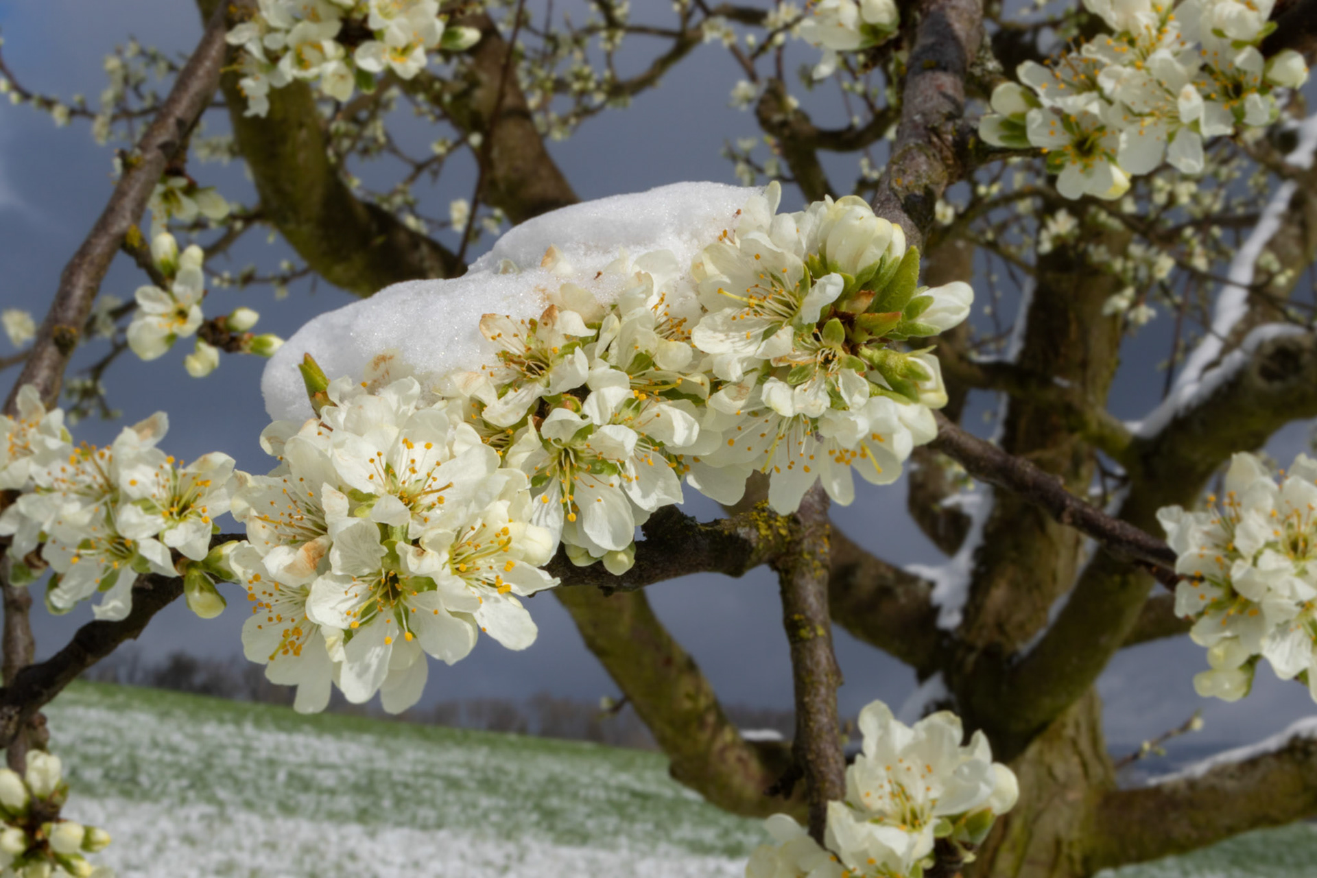 Wintereinbruch