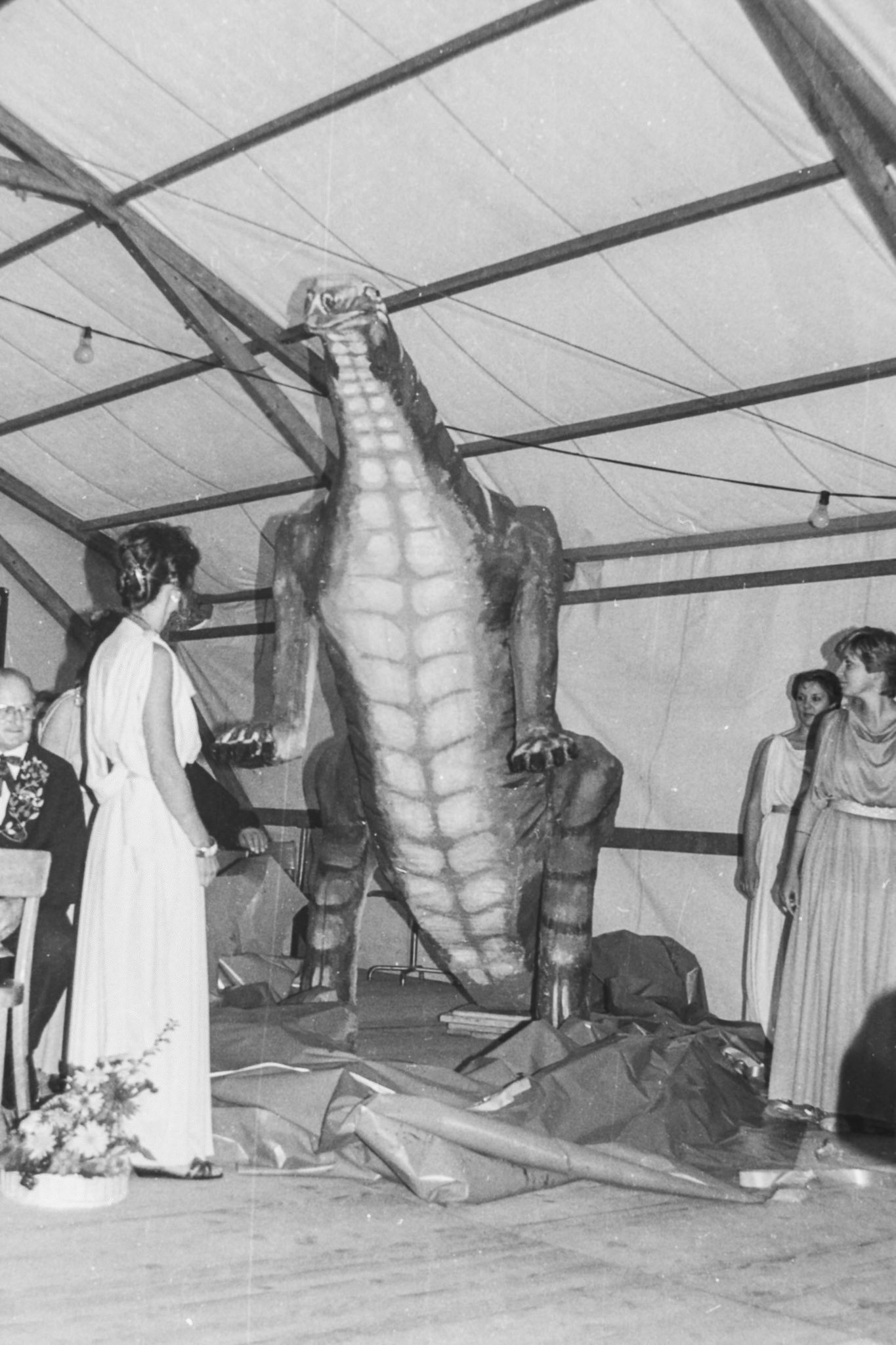 Saurierfest 1985