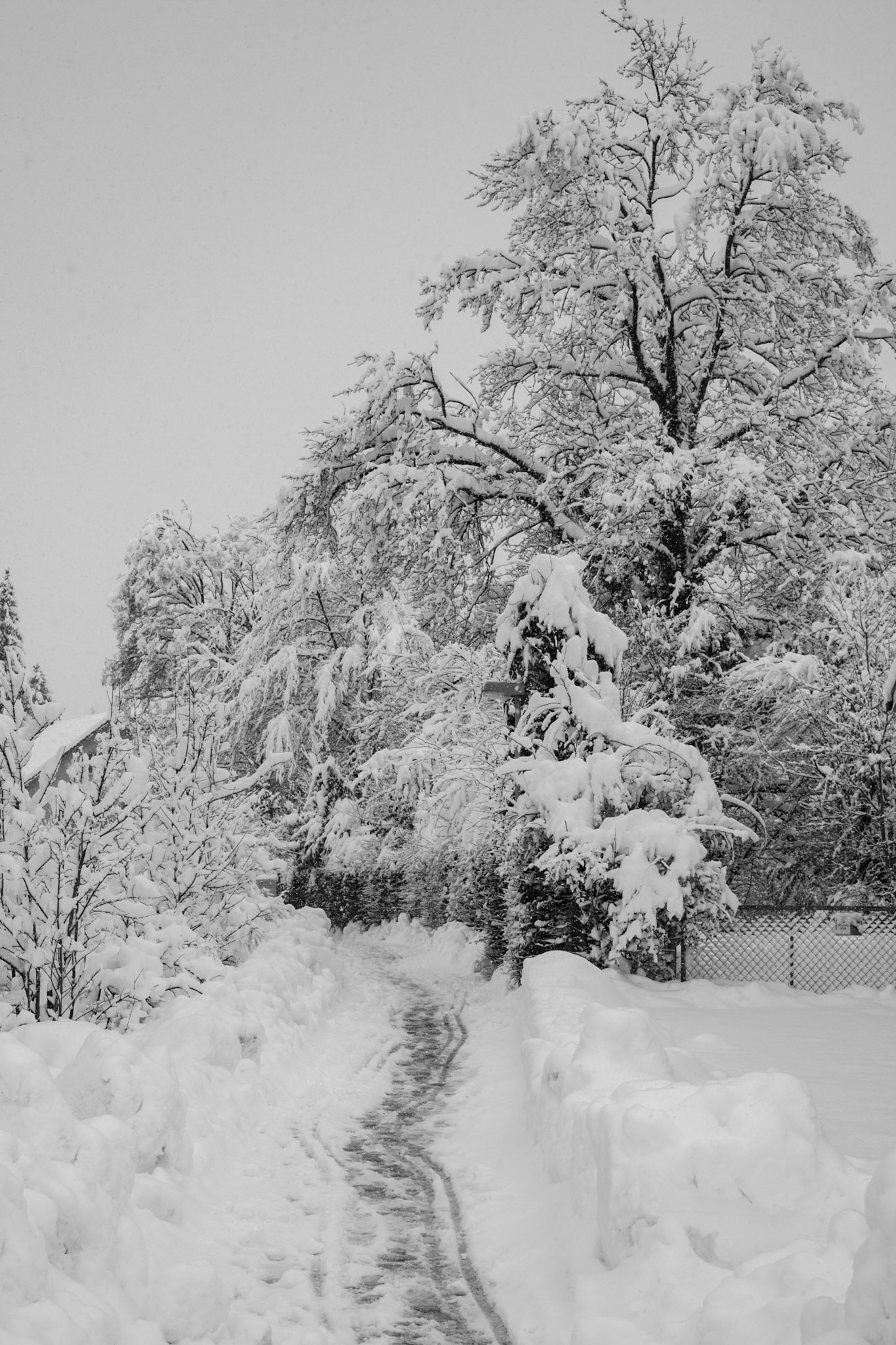 Winterzauber mitten im Dorf