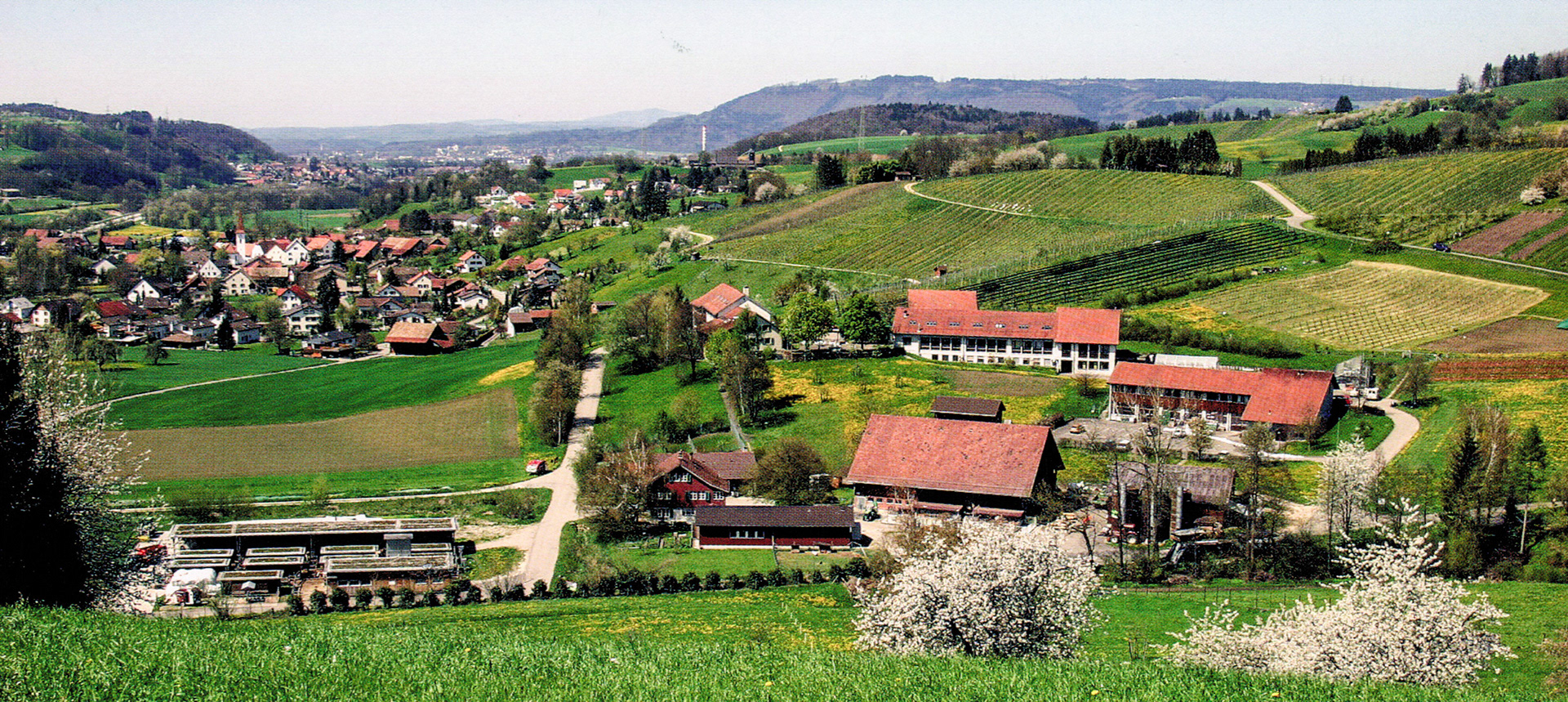 2000 FiBL im Sommer