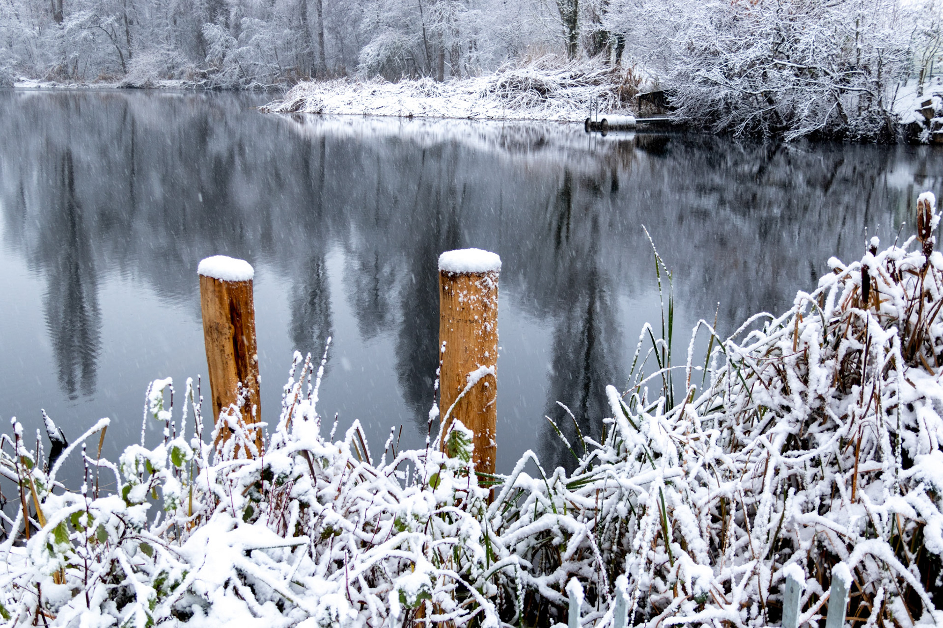 verschneiter Ziegeleiweiher